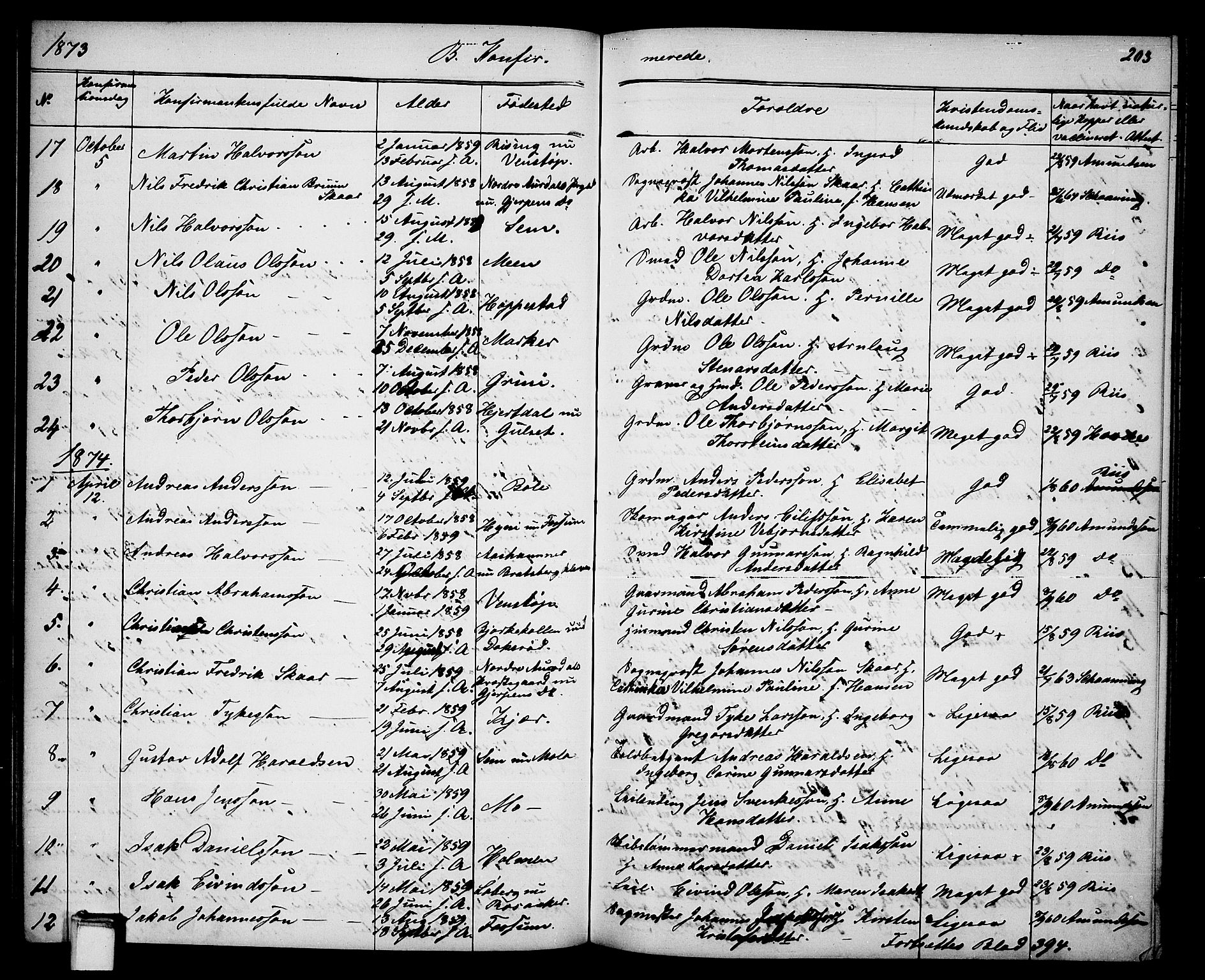 Gjerpen kirkebøker, SAKO/A-265/G/Ga/L0001: Parish register (copy) no. I 1, 1864-1882, p. 203