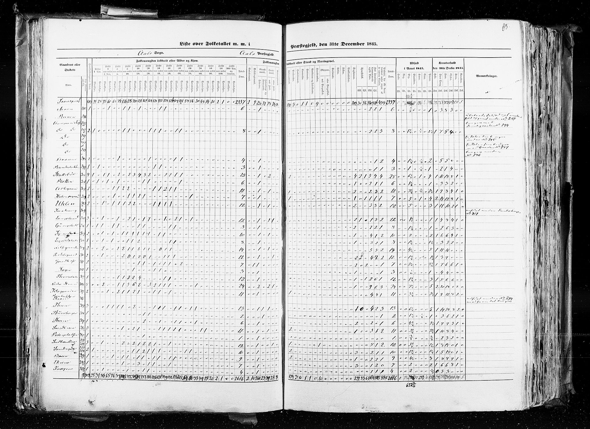 RA, Census 1845, vol. 4: Buskerud amt og Jarlsberg og Larvik amt, 1845, p. 85