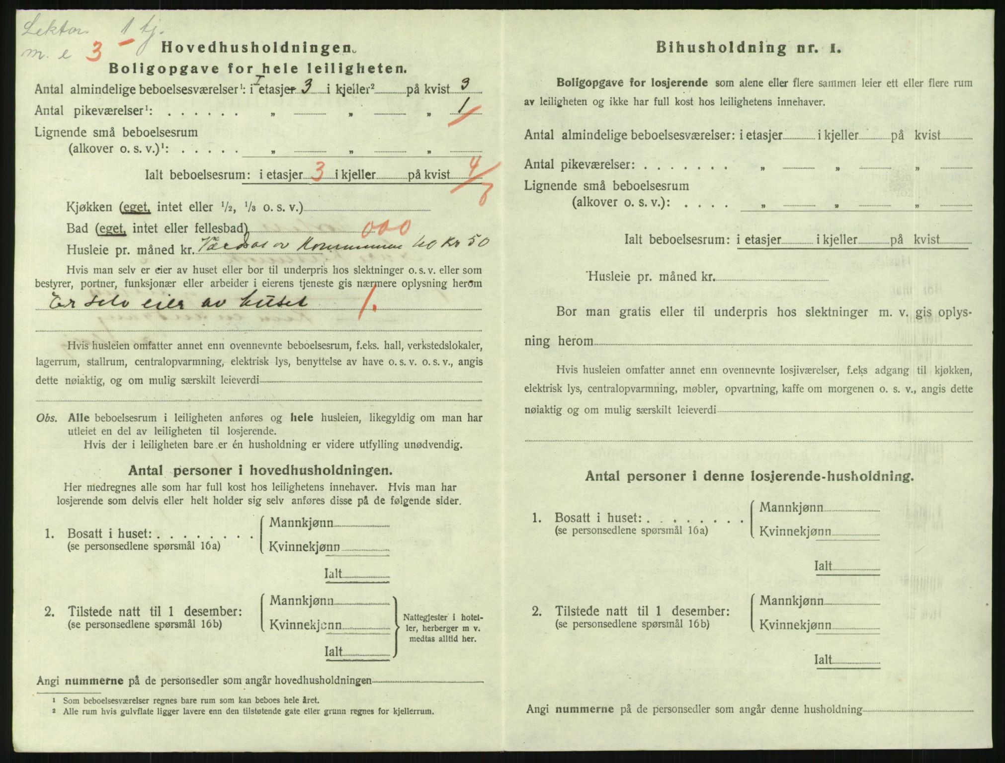 SAKO, 1920 census for Horten, 1920, p. 4166