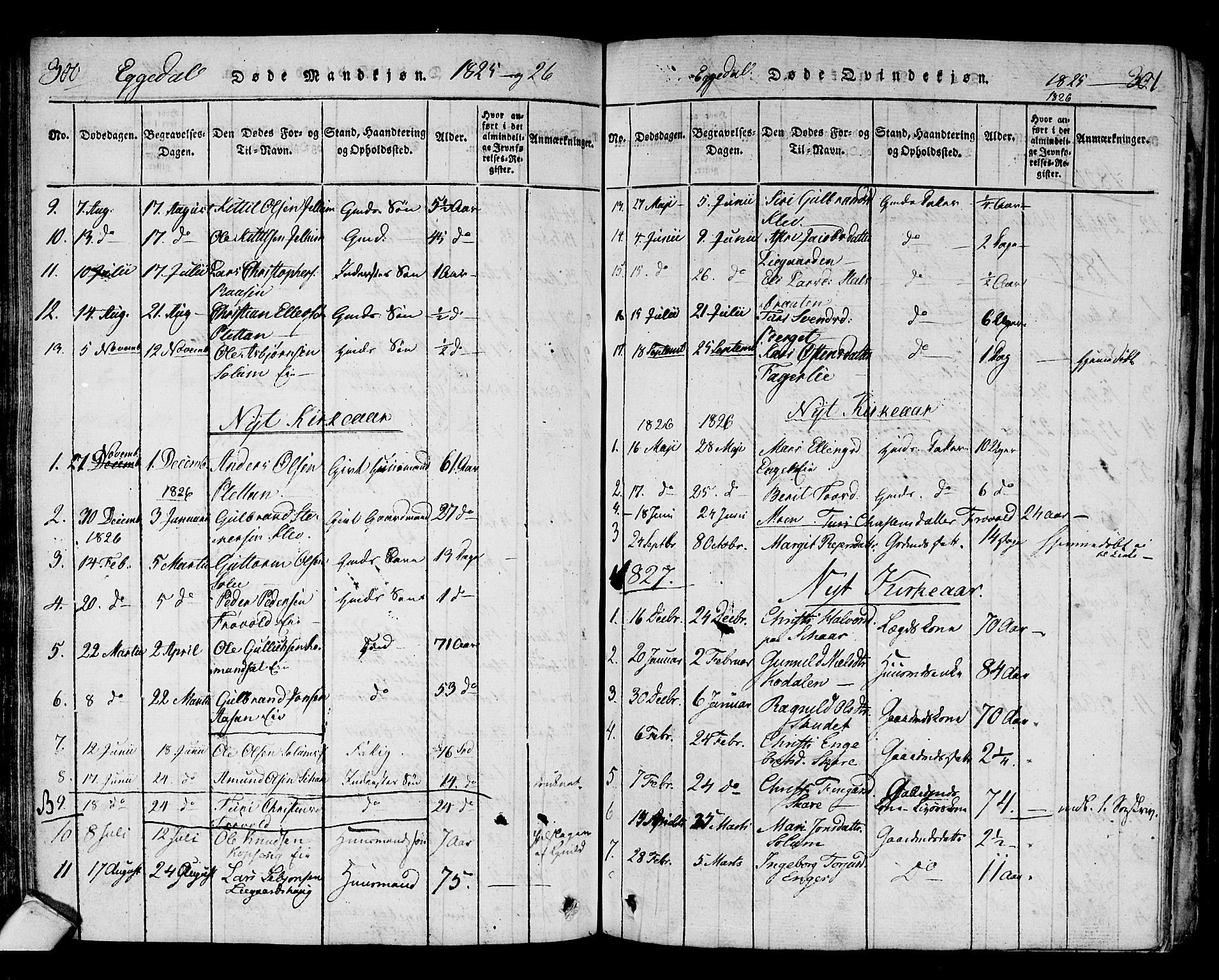 Sigdal kirkebøker, AV/SAKO-A-245/F/Fa/L0005: Parish register (official) no. I 5 /2, 1815-1829, p. 300-301