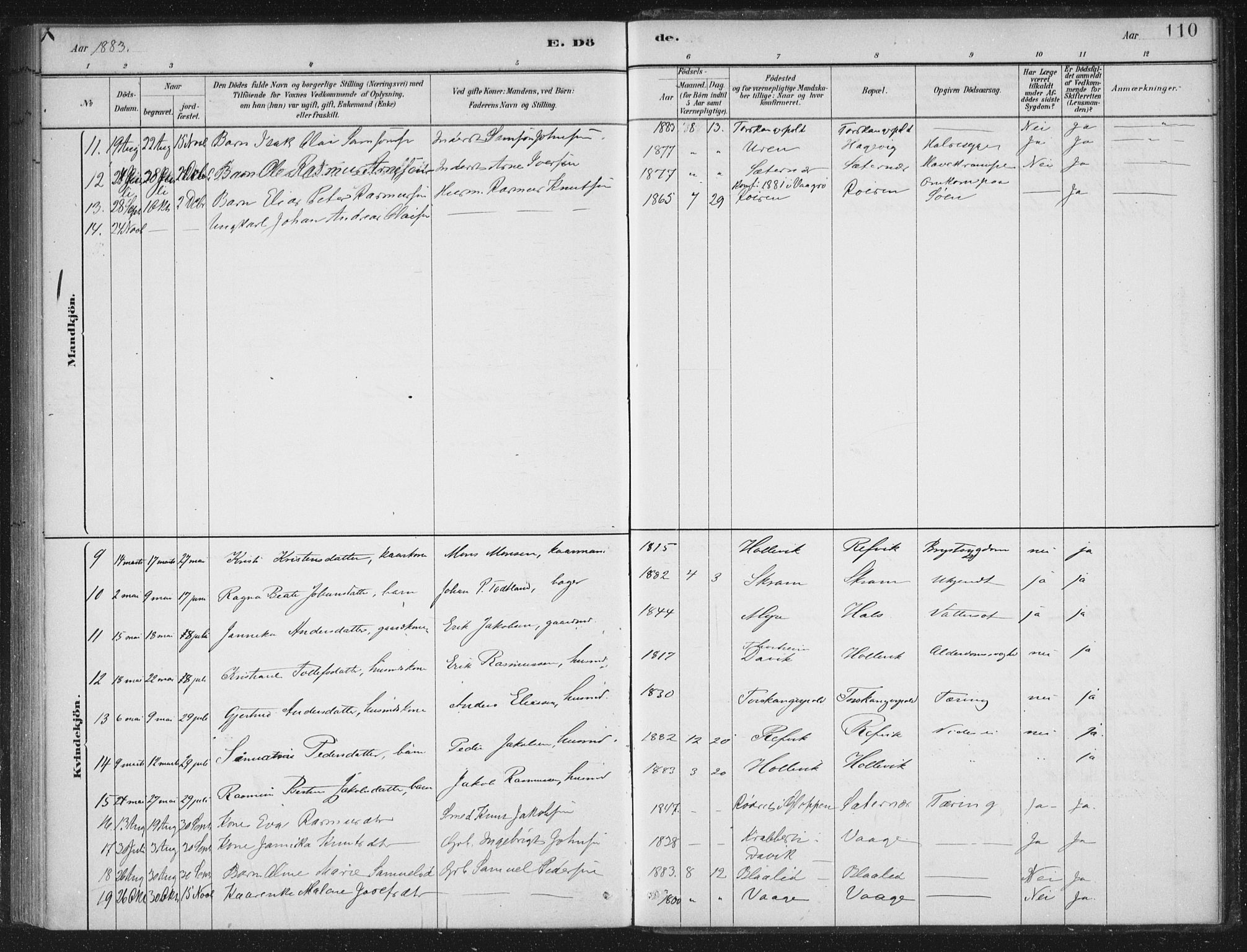 Selje sokneprestembete, SAB/A-99938/H/Ha/Haa/Haac/L0001: Parish register (official) no. C  1, 1881-1888, p. 110