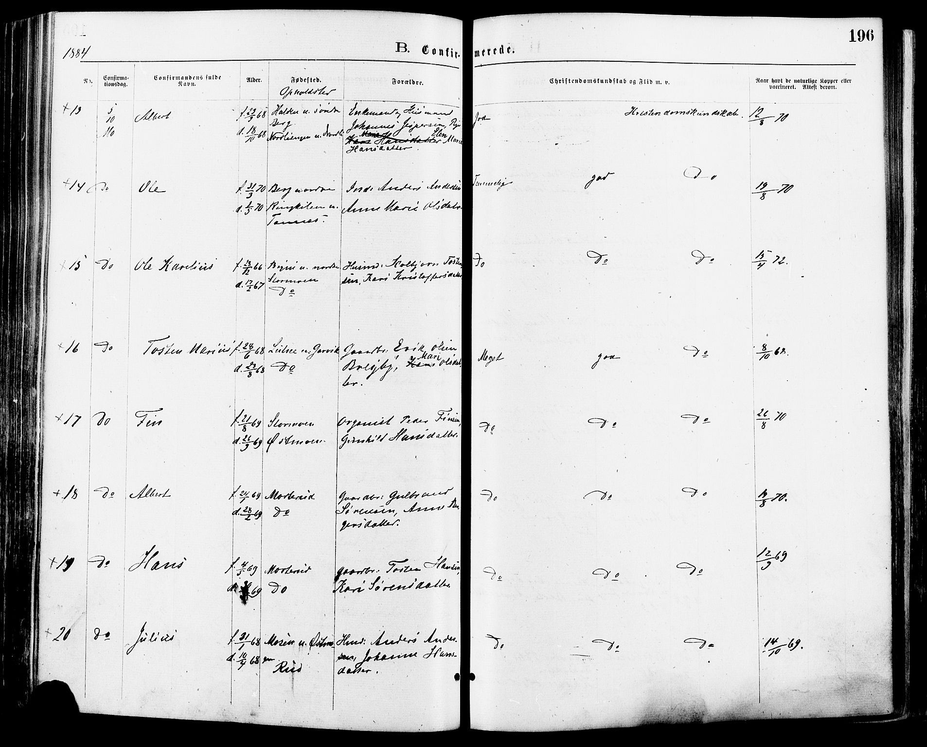 Nord-Odal prestekontor, AV/SAH-PREST-032/H/Ha/Haa/L0005: Parish register (official) no. 5, 1874-1885, p. 196