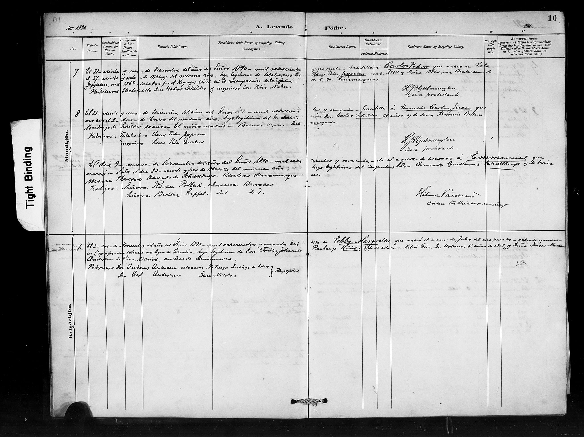Den norske sjømannsmisjon i utlandet/Syd-Amerika (Buenos Aires m.fl.), SAB/SAB/PA-0118/H/Ha/L0001: Parish register (official) no. A 1, 1888-1898, p. 10