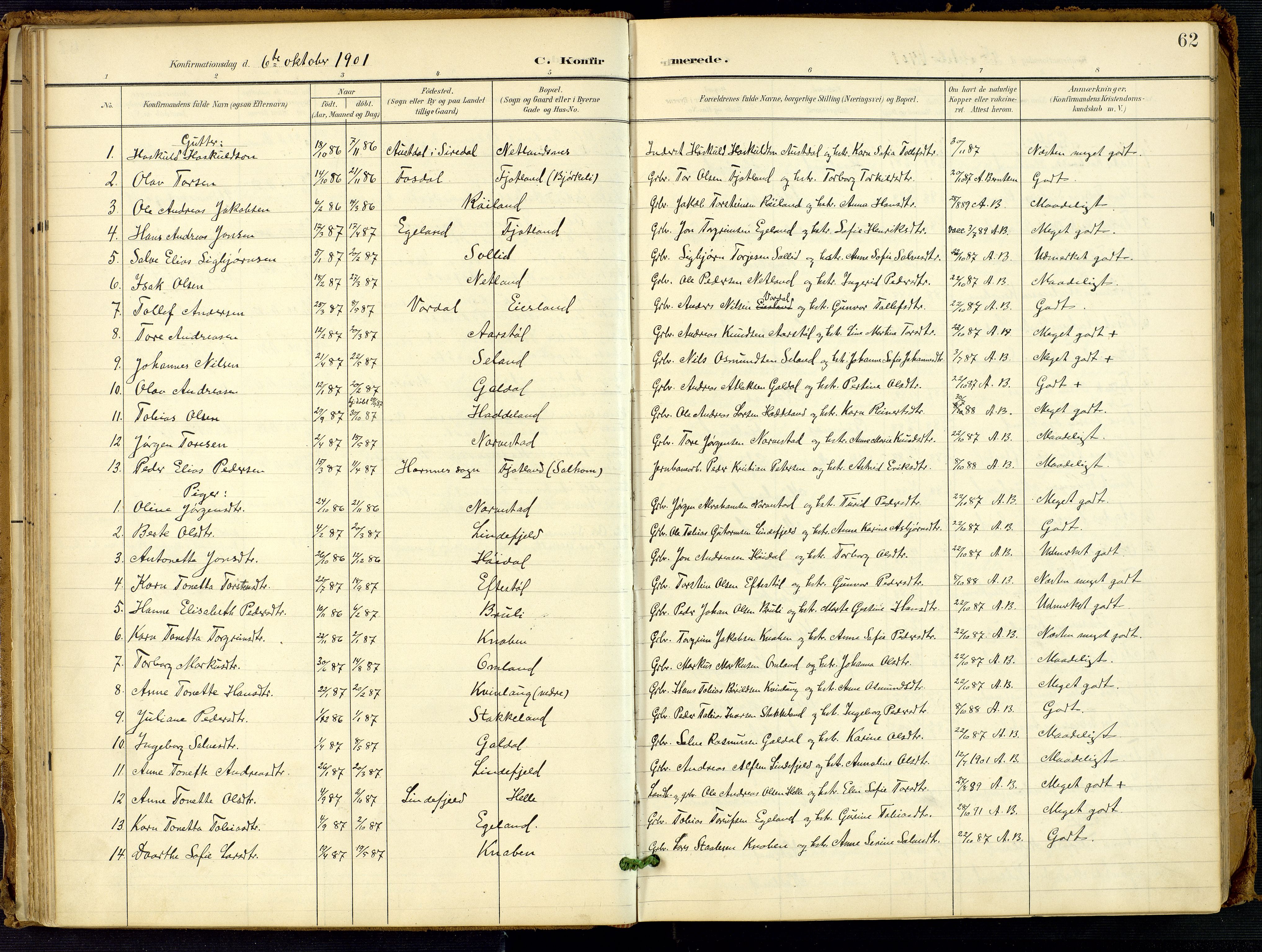 Fjotland sokneprestkontor, AV/SAK-1111-0010/F/Fa/L0003: Parish register (official) no. A 3, 1899-1917, p. 62