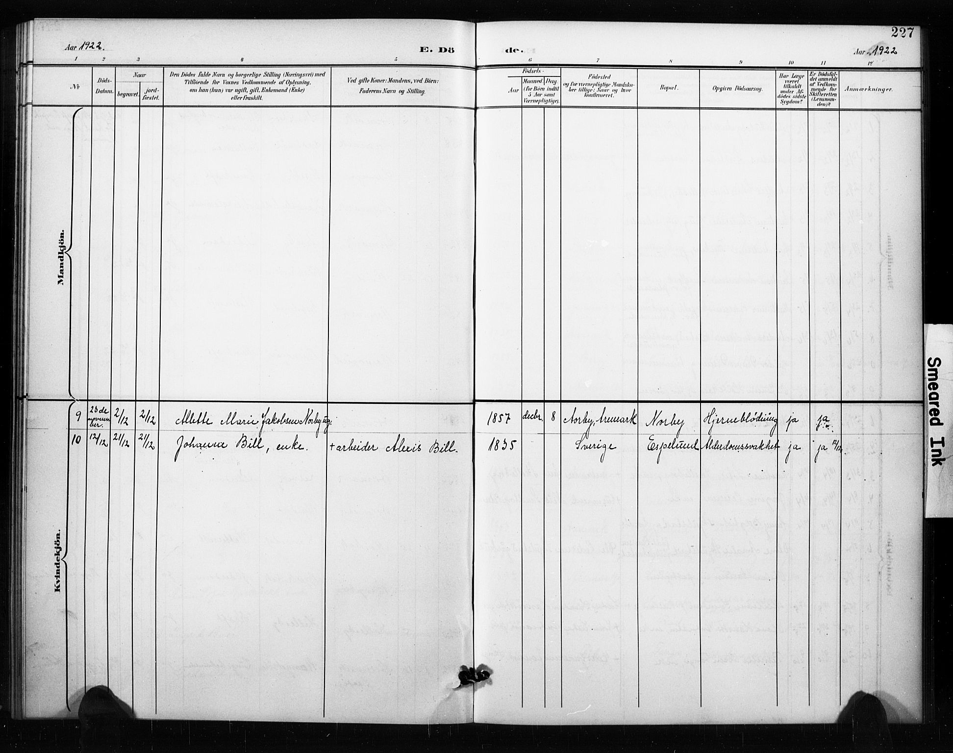 Aremark prestekontor Kirkebøker, AV/SAO-A-10899/G/Ga/L0002: Parish register (copy) no. I 2, 1901-1928, p. 227