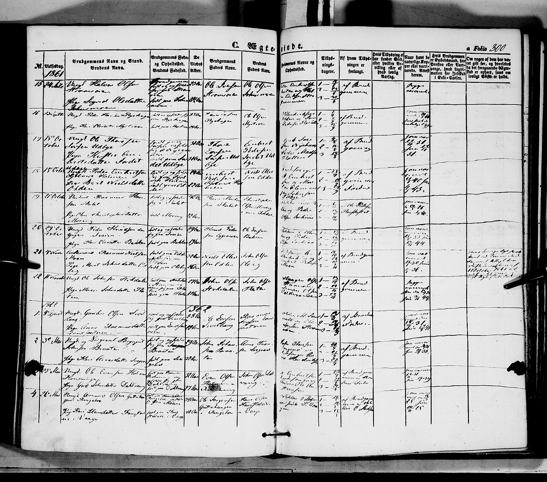 Tynset prestekontor, AV/SAH-PREST-058/H/Ha/Haa/L0020: Parish register (official) no. 20, 1848-1862, p. 300