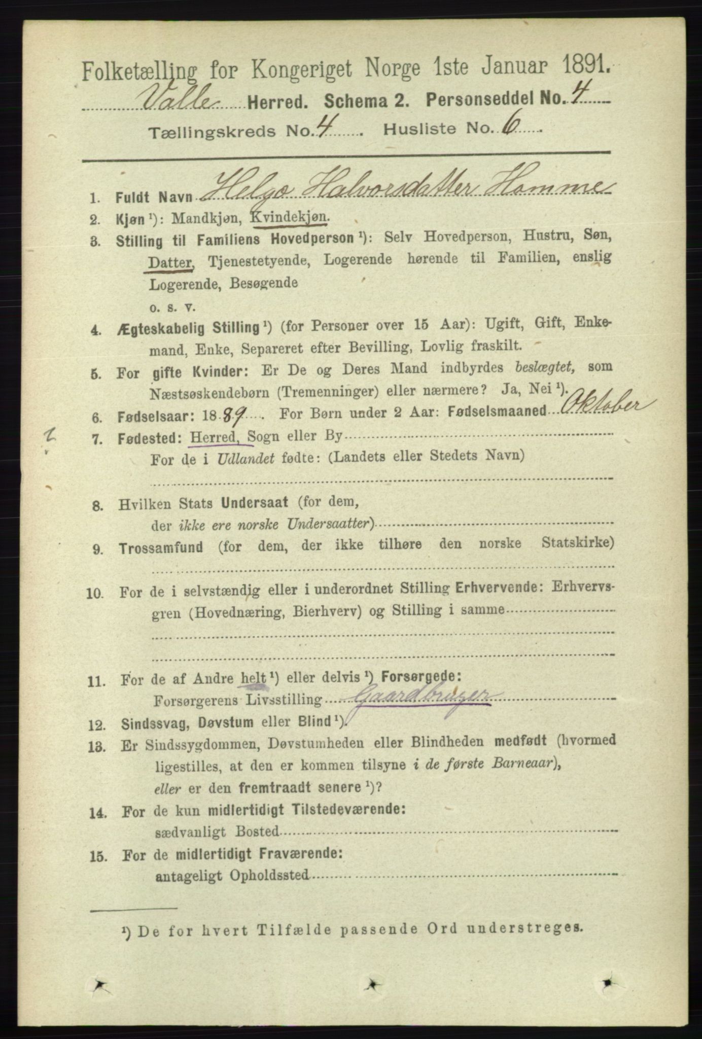 RA, 1891 census for 0940 Valle, 1891, p. 1023