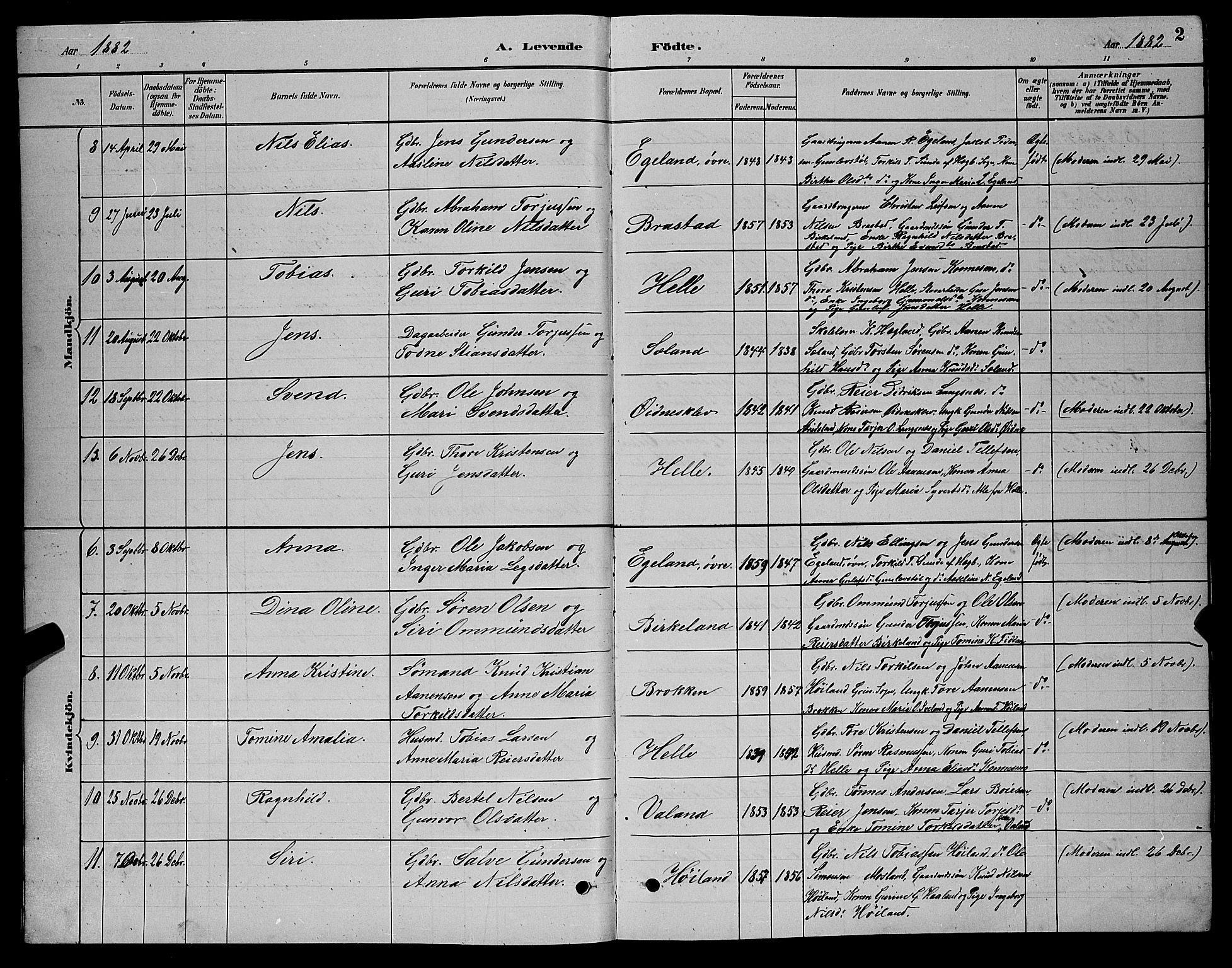 Nord-Audnedal sokneprestkontor, SAK/1111-0032/F/Fb/Fba/L0003: Parish register (copy) no. B 3, 1881-1900, p. 2