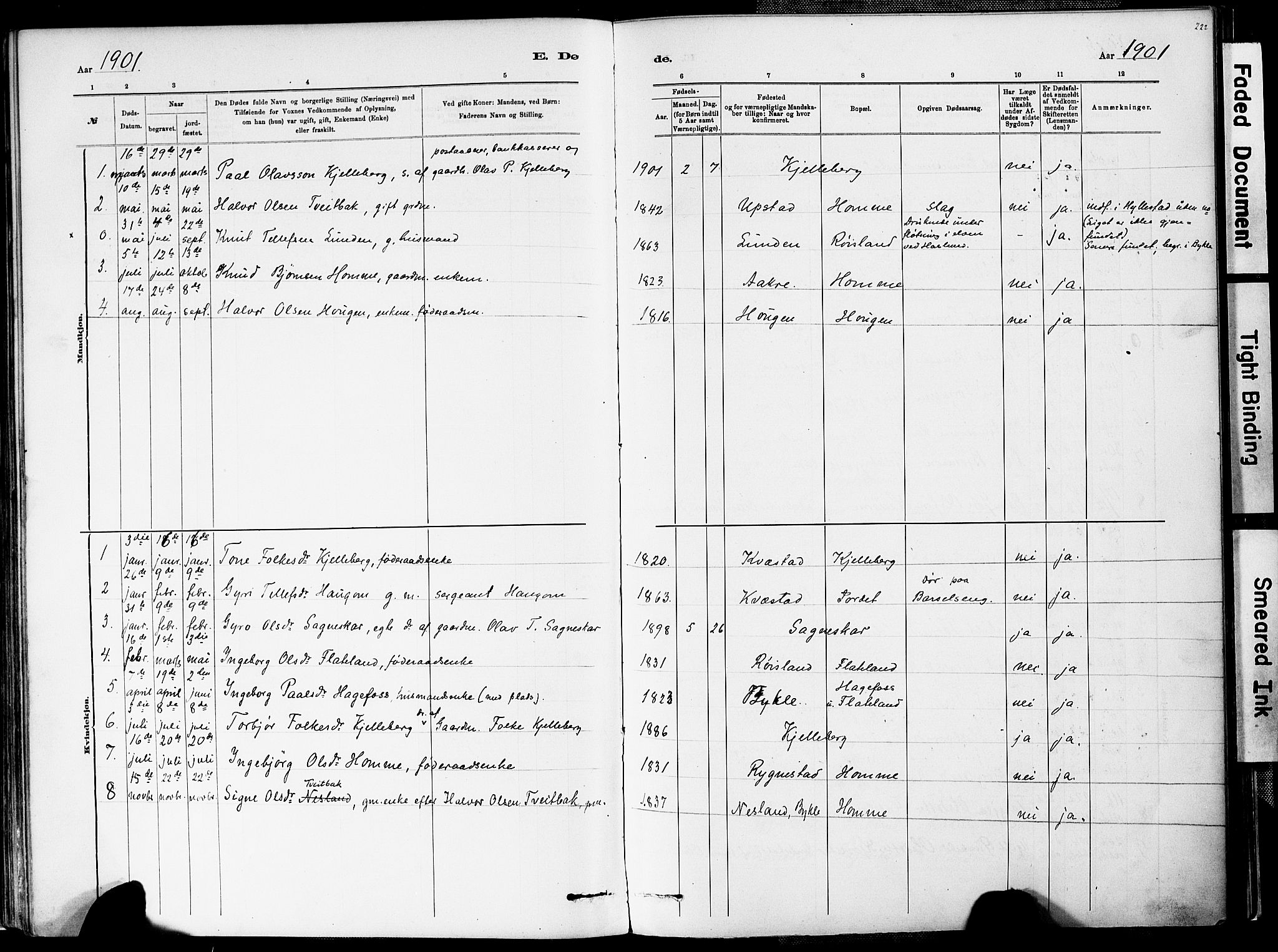 Valle sokneprestkontor, AV/SAK-1111-0044/F/Fa/Fac/L0009: Parish register (official) no. A 9, 1882-1913, p. 222