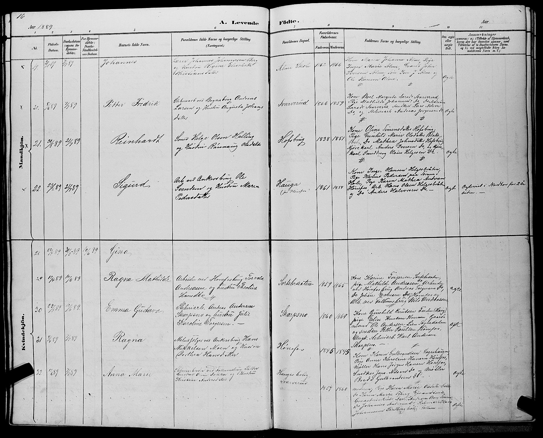 Hønefoss kirkebøker, AV/SAKO-A-609/G/Ga/L0002: Parish register (copy) no. 2, 1888-1904, p. 16