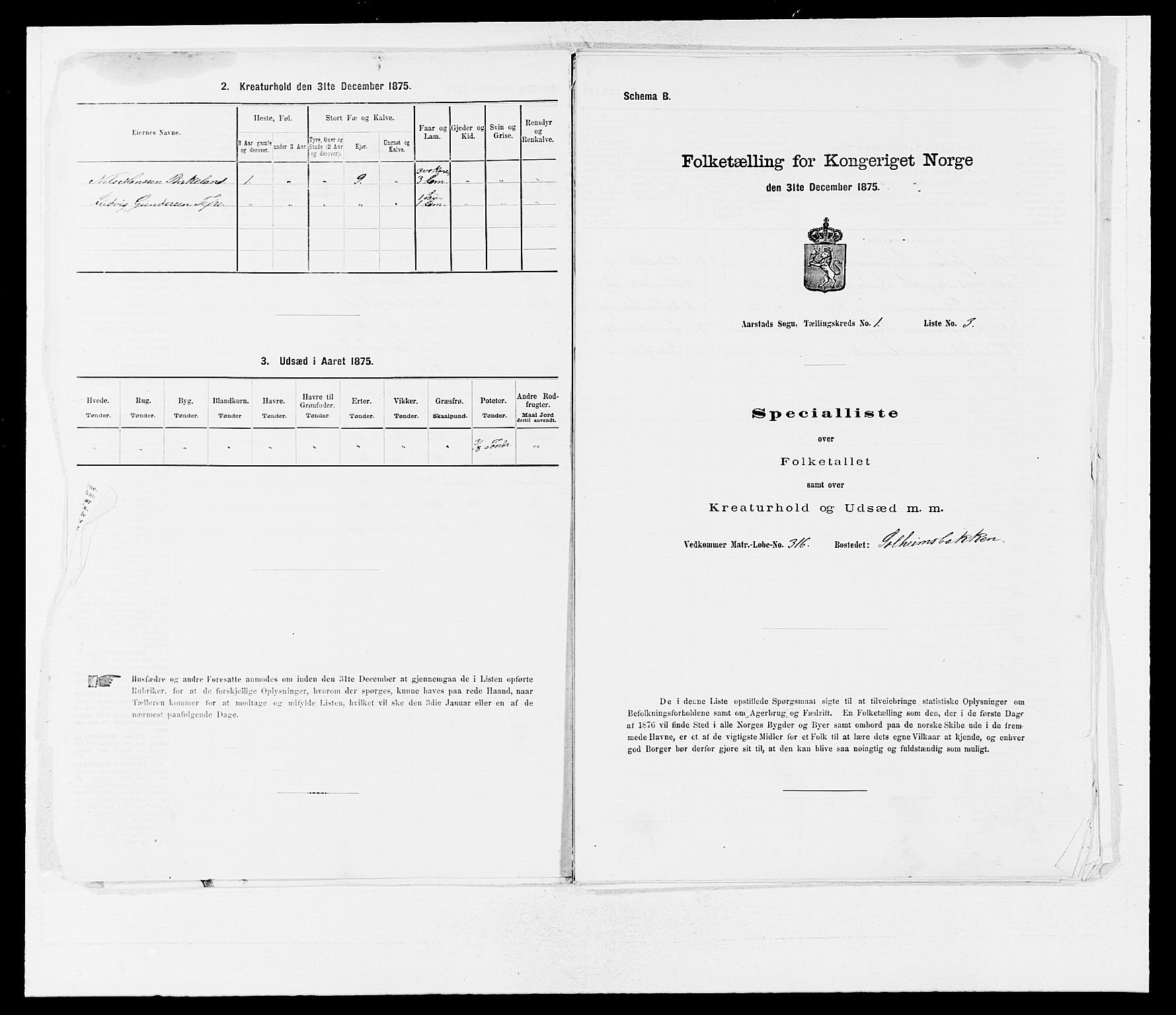 SAB, 1875 census for 1280P Årstad, 1875, p. 15