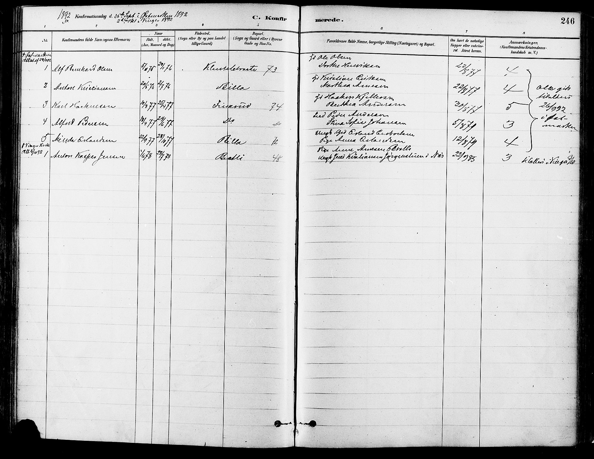 Eidskog prestekontor, AV/SAH-PREST-026/H/Ha/Haa/L0003: Parish register (official) no. 3, 1879-1892, p. 246