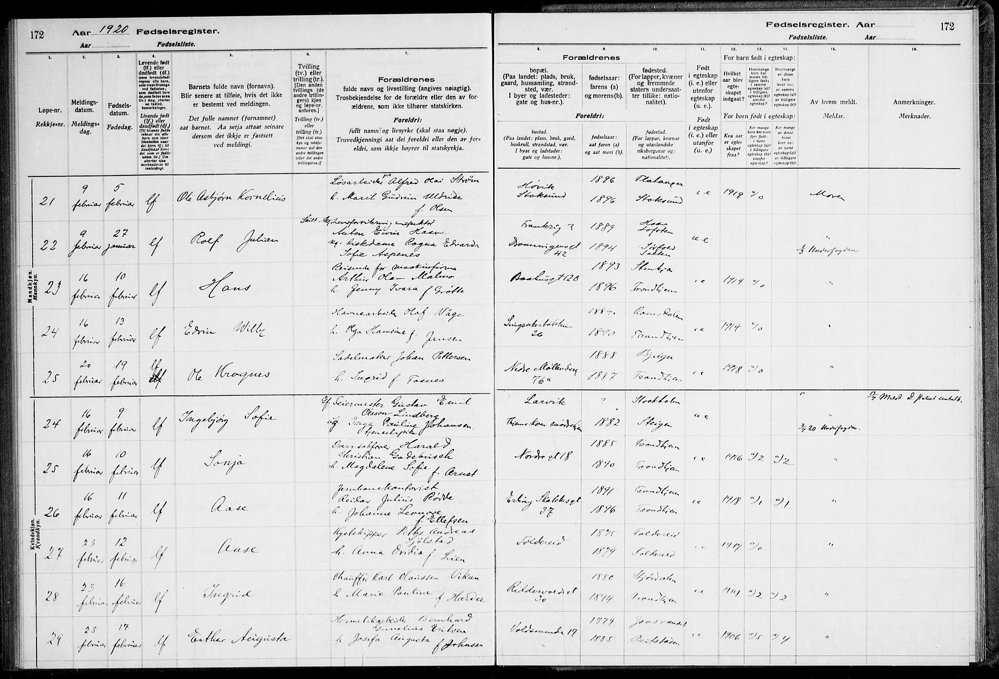 Ministerialprotokoller, klokkerbøker og fødselsregistre - Sør-Trøndelag, AV/SAT-A-1456/600/L0002: Birth register no. 600.II.4.1, 1916-1920, p. 172