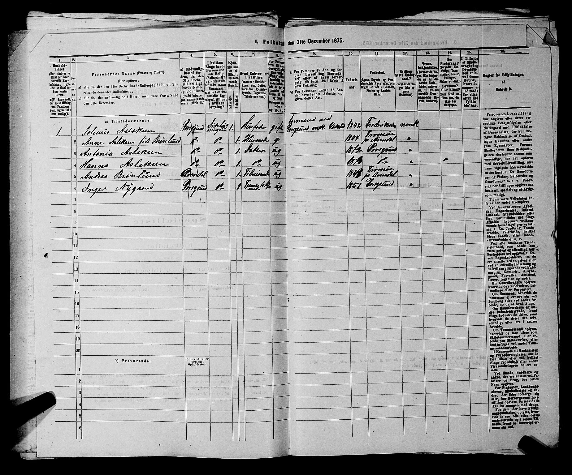 SAKO, 1875 census for 0805P Porsgrunn, 1875, p. 1036