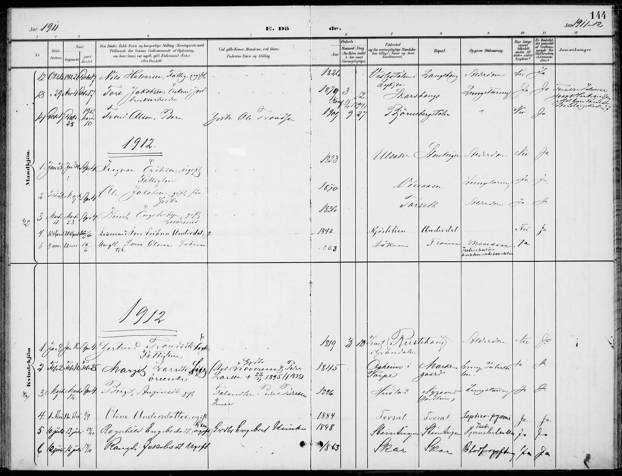 Gol kirkebøker, AV/SAKO-A-226/F/Fb/L0002: Parish register (official) no. II 2, 1900-1921, p. 144