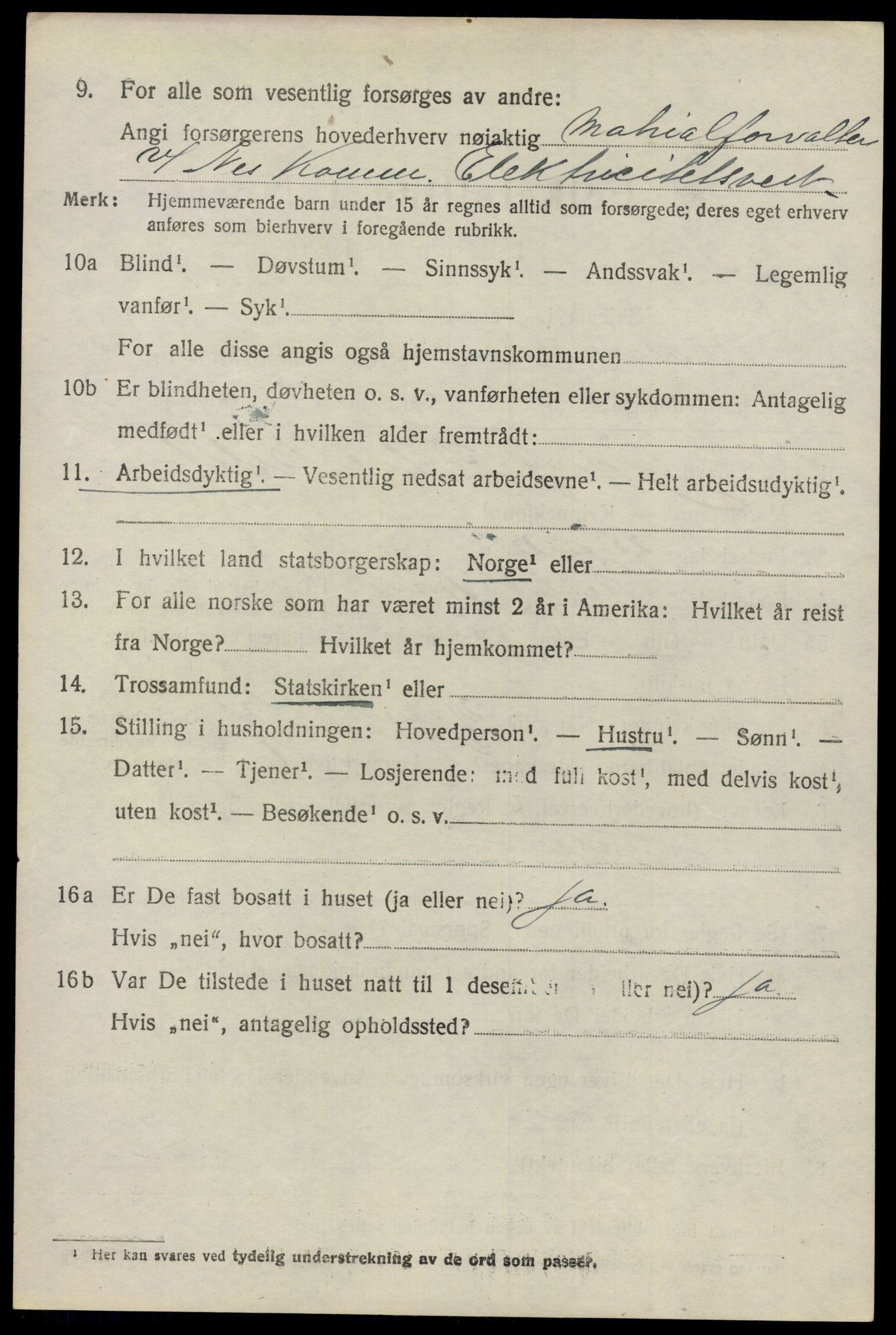 SAO, 1920 census for Nes, 1920, p. 19111