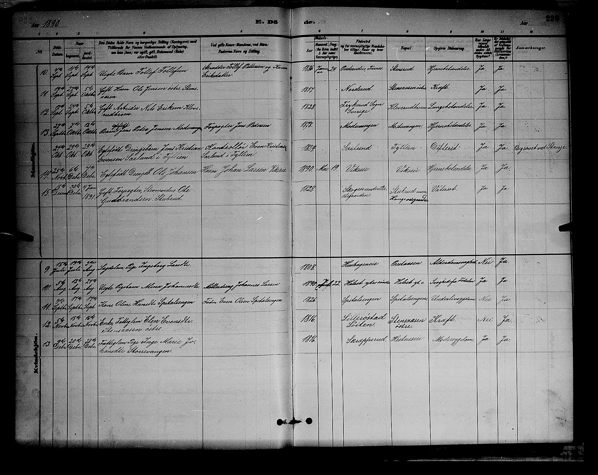 Stange prestekontor, AV/SAH-PREST-002/L/L0008: Parish register (copy) no. 8, 1882-1895, p. 239