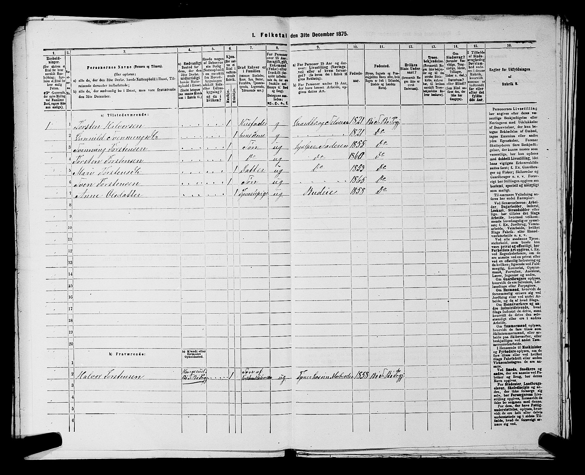 SAKO, 1875 census for 0821P Bø, 1875, p. 1003