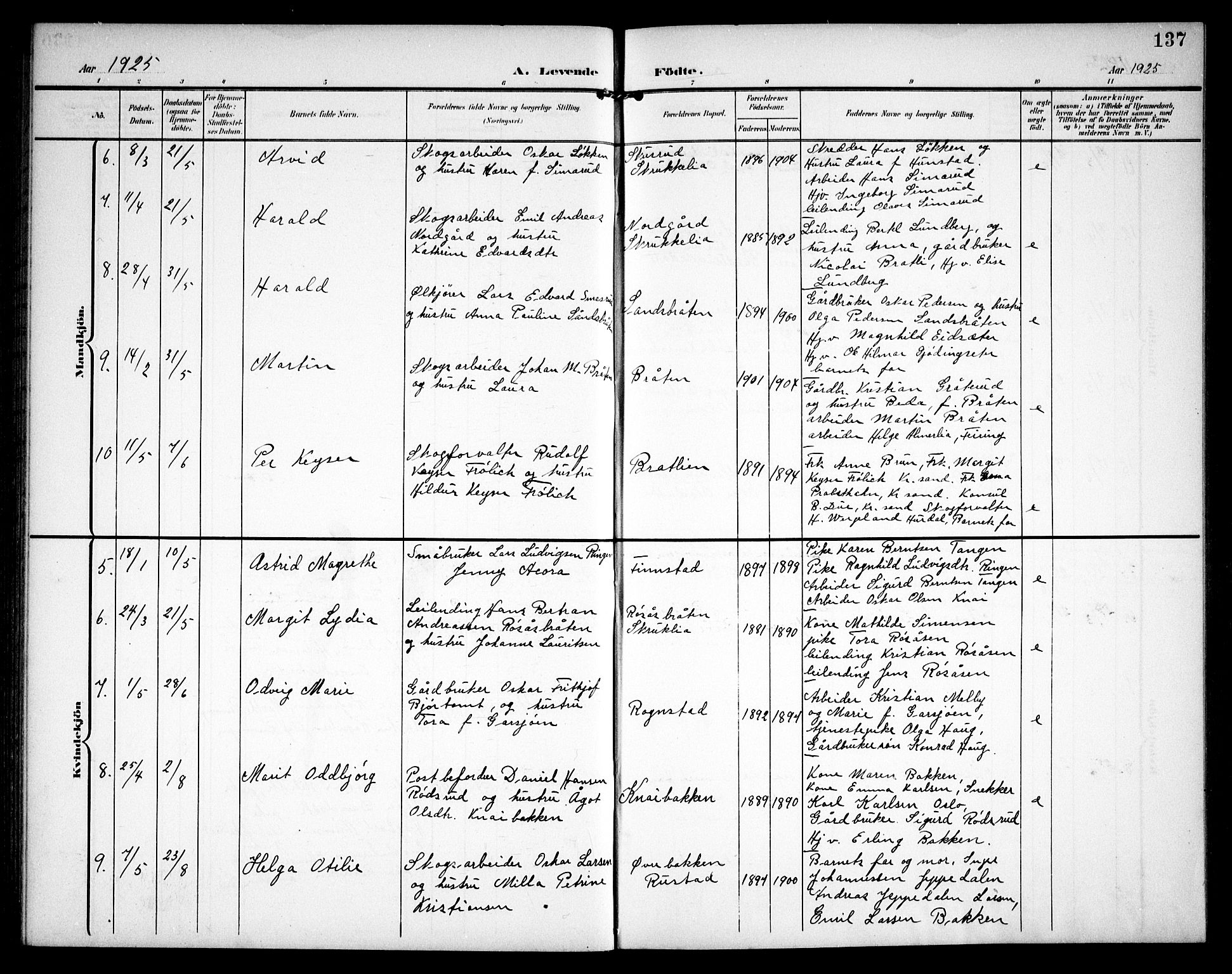 Hurdal prestekontor Kirkebøker, AV/SAO-A-10889/G/Ga/L0001: Parish register (copy) no. I 1, 1902-1934, p. 137