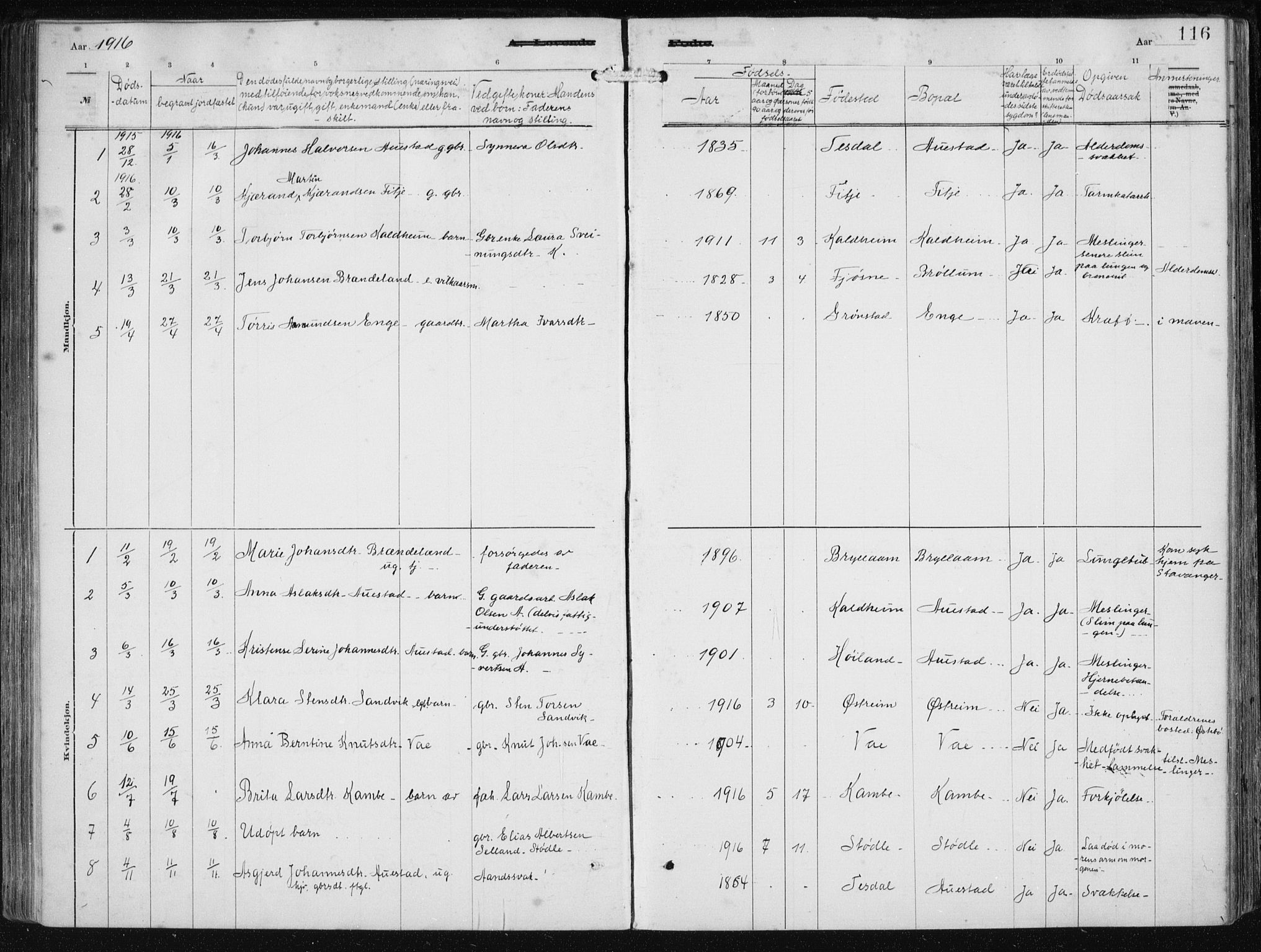 Etne sokneprestembete, SAB/A-75001/H/Haa: Parish register (official) no. B  1, 1879-1919, p. 116
