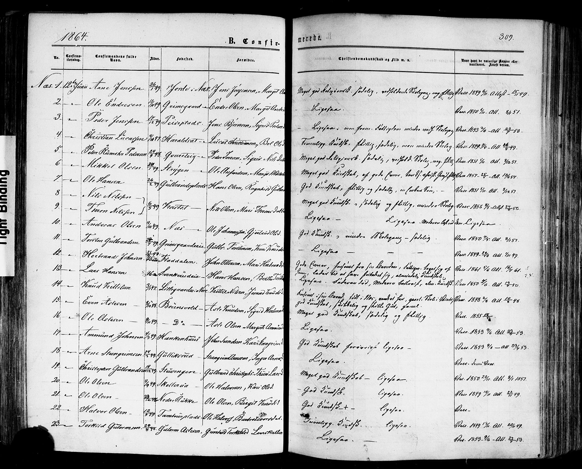 Nes kirkebøker, SAKO/A-236/F/Fa/L0010: Parish register (official) no. 10, 1864-1880, p. 309