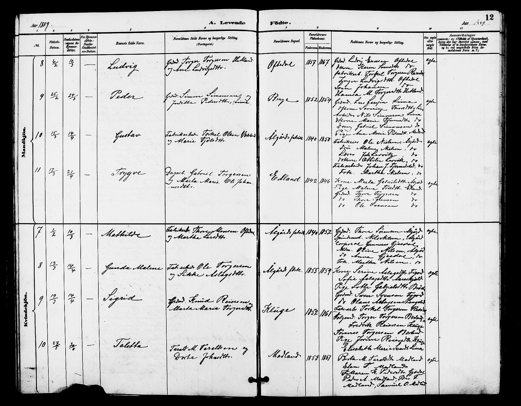 Lye sokneprestkontor, AV/SAST-A-101794/001/30BB/L0008: Parish register (copy) no. B 7, 1887-1901, p. 12