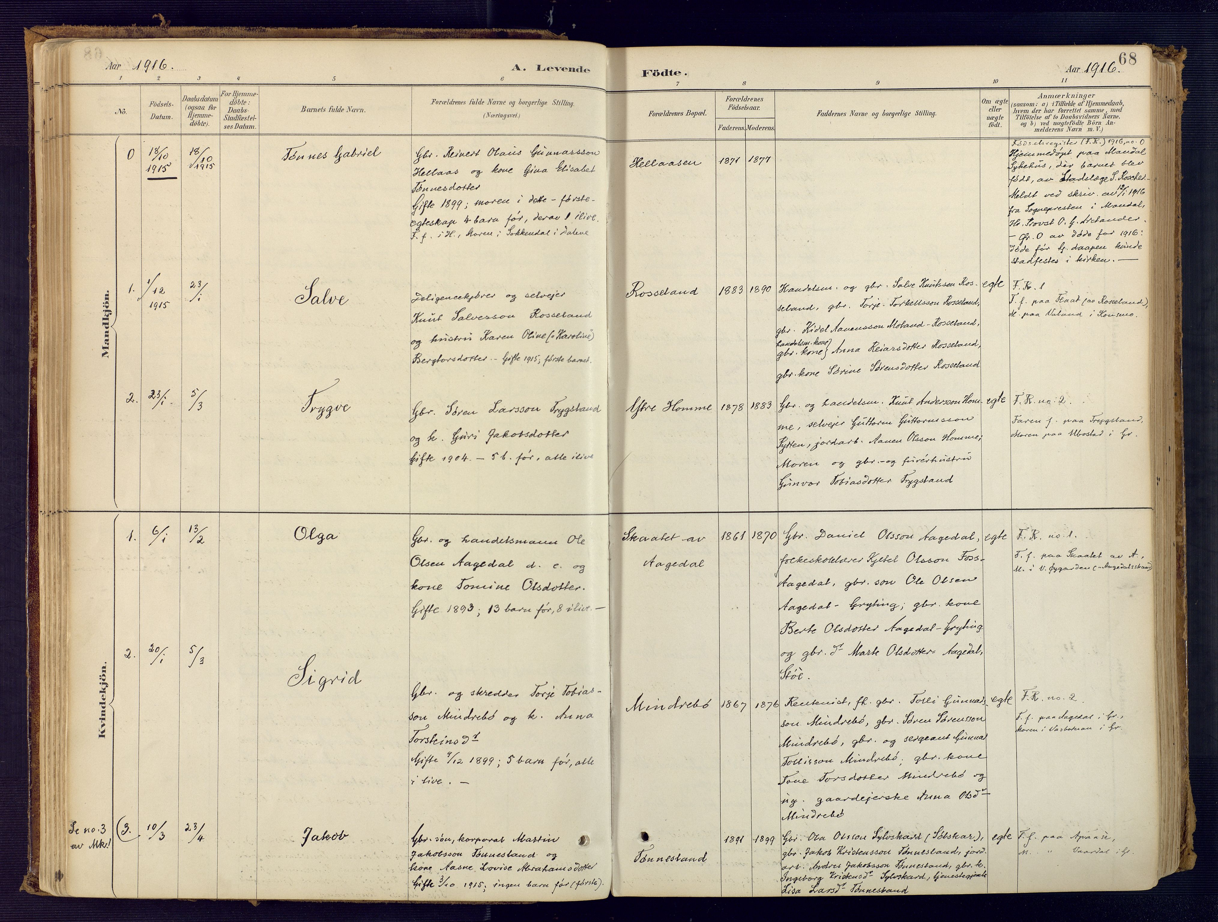 Bjelland sokneprestkontor, SAK/1111-0005/F/Fa/Faa/L0004: Parish register (official) no. A 4, 1887-1923, p. 68