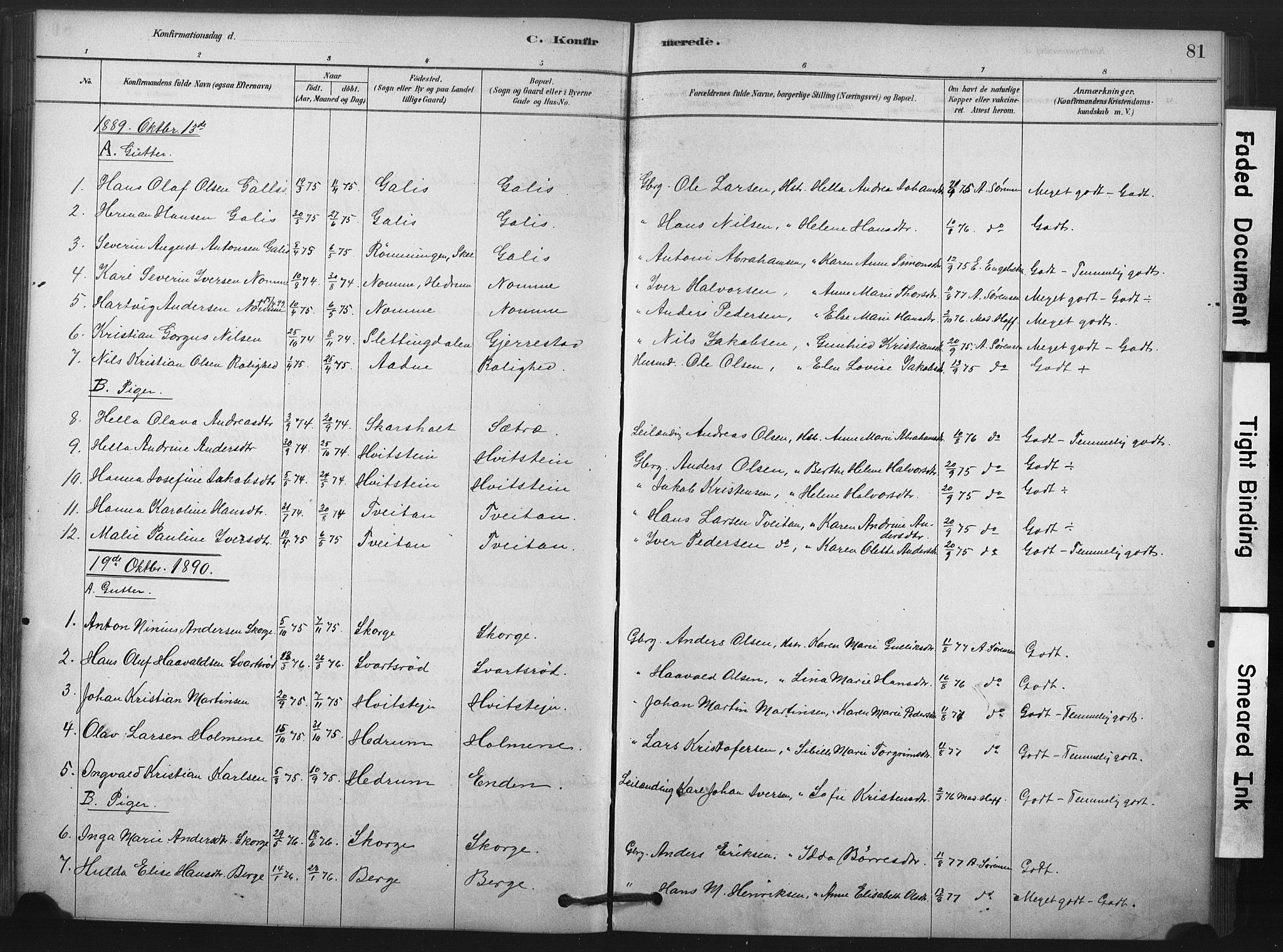 Andebu kirkebøker, AV/SAKO-A-336/F/Fa/L0008: Parish register (official) no. 8, 1878-1902, p. 81