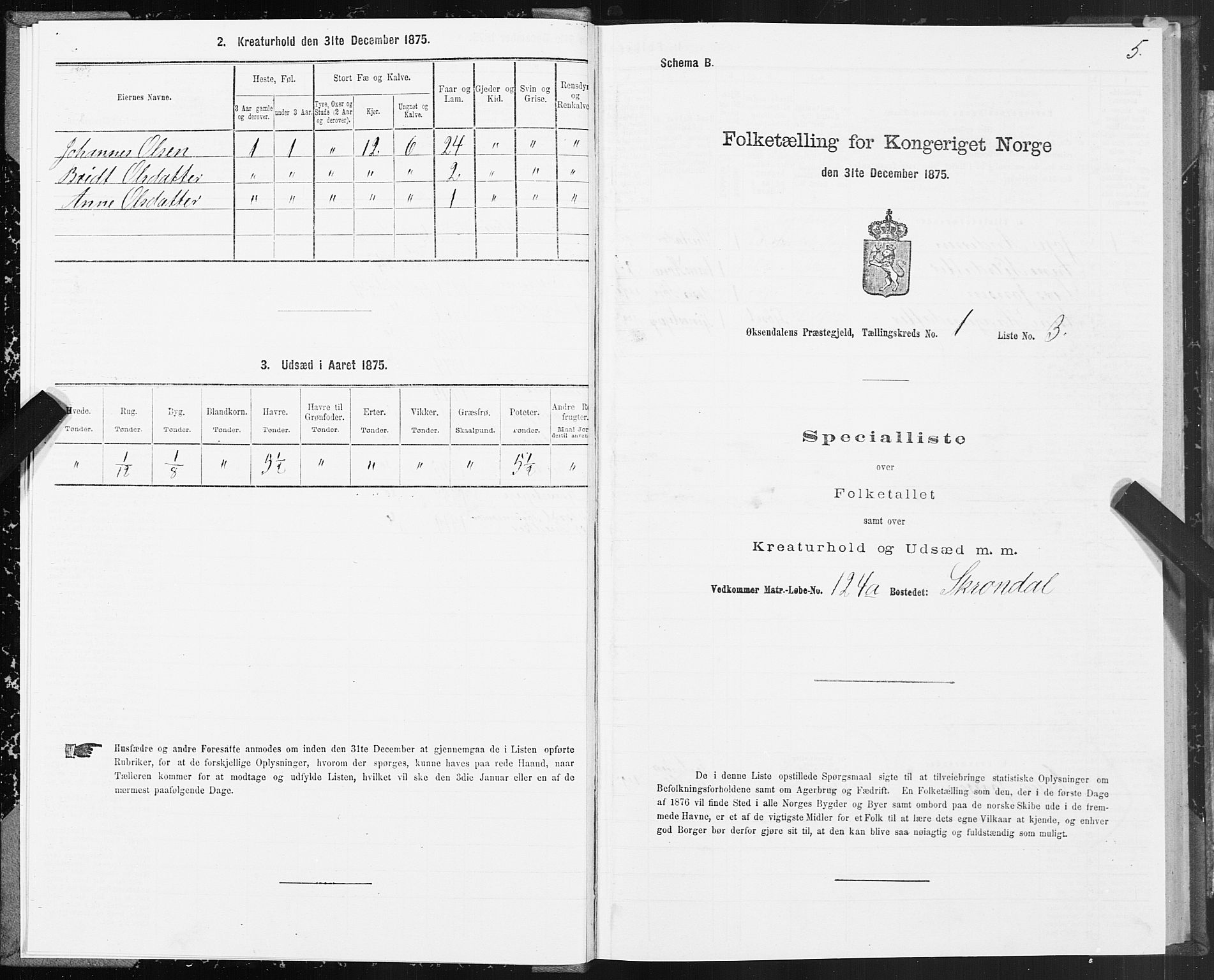 SAT, 1875 census for 1561P Øksendal, 1875, p. 1005