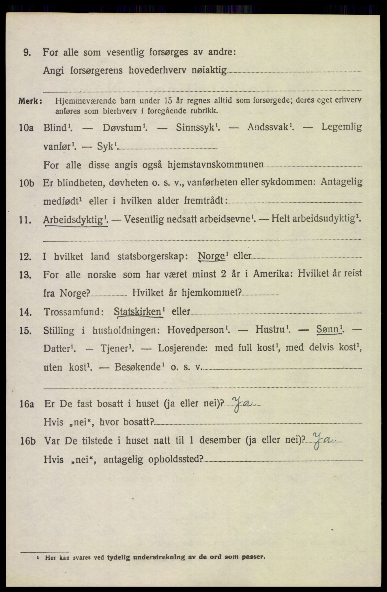 SAH, 1920 census for Åsnes, 1920, p. 5041