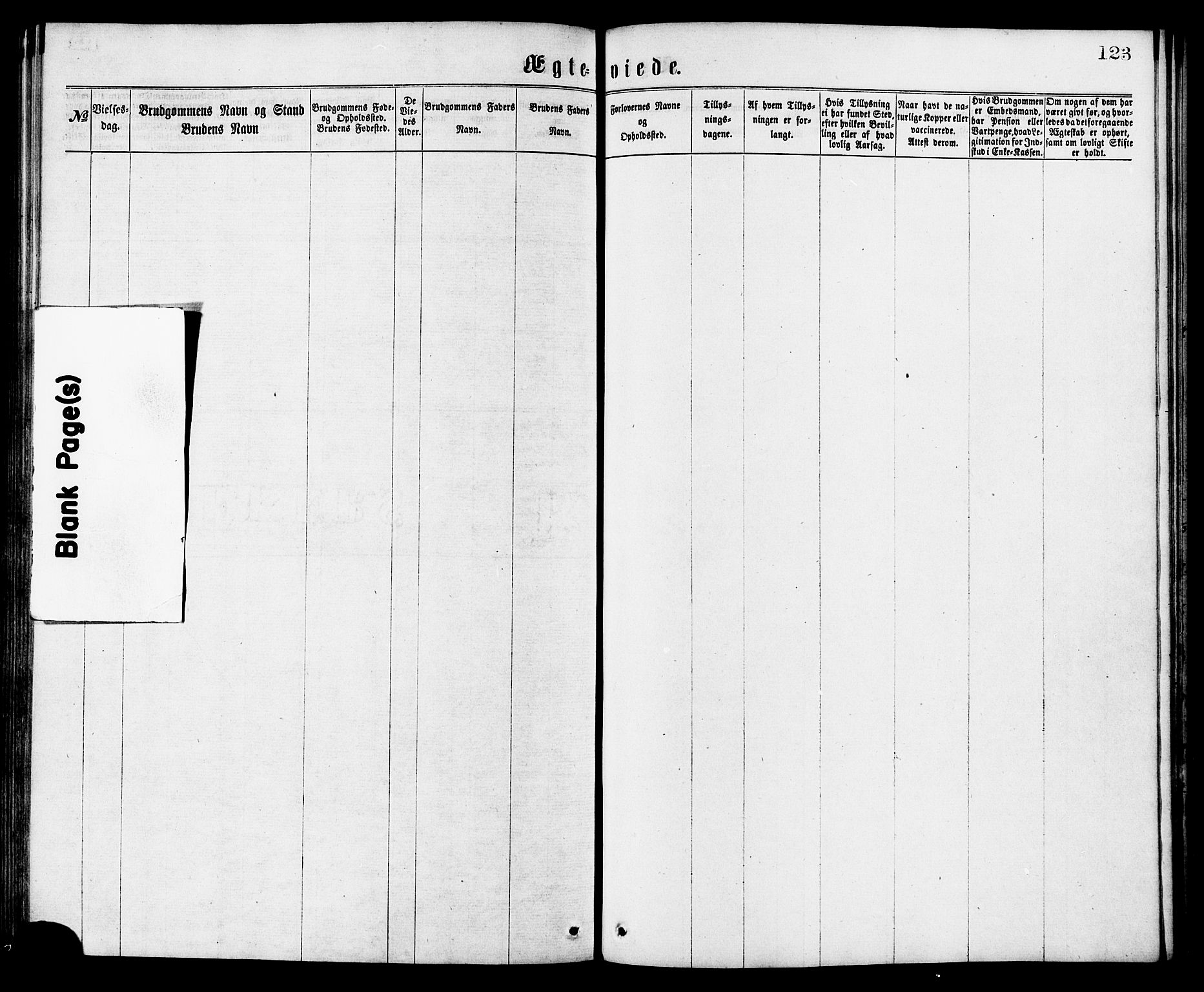 Ministerialprotokoller, klokkerbøker og fødselsregistre - Møre og Romsdal, AV/SAT-A-1454/503/L0035: Parish register (official) no. 503A03, 1865-1884, p. 123