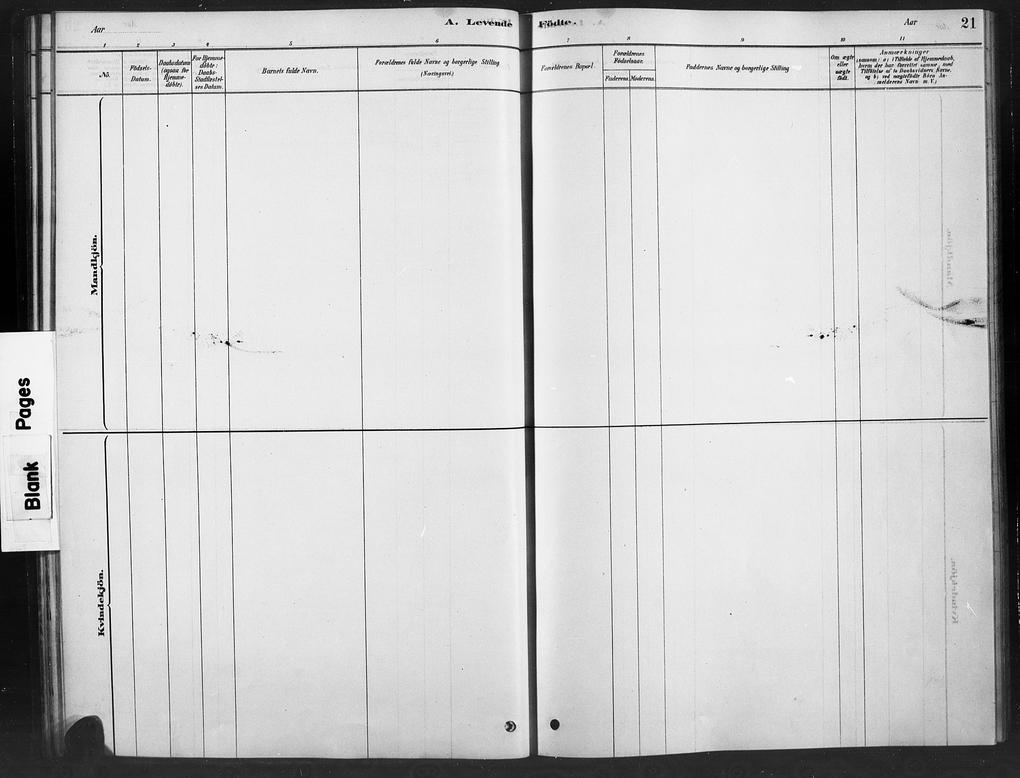 Ringebu prestekontor, AV/SAH-PREST-082/H/Ha/Haa/L0010: Parish register (official) no. 10, 1878-1898, p. 21