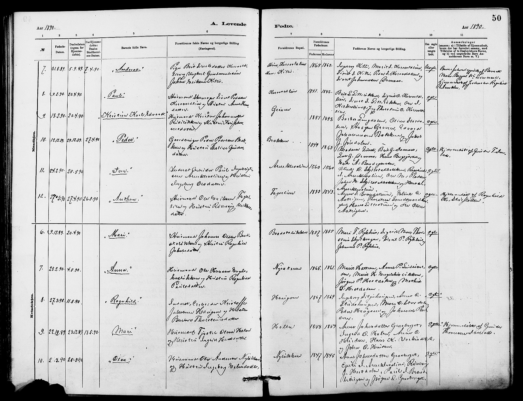 Dovre prestekontor, AV/SAH-PREST-066/H/Ha/Hab/L0002: Parish register (copy) no. 2, 1881-1907, p. 50