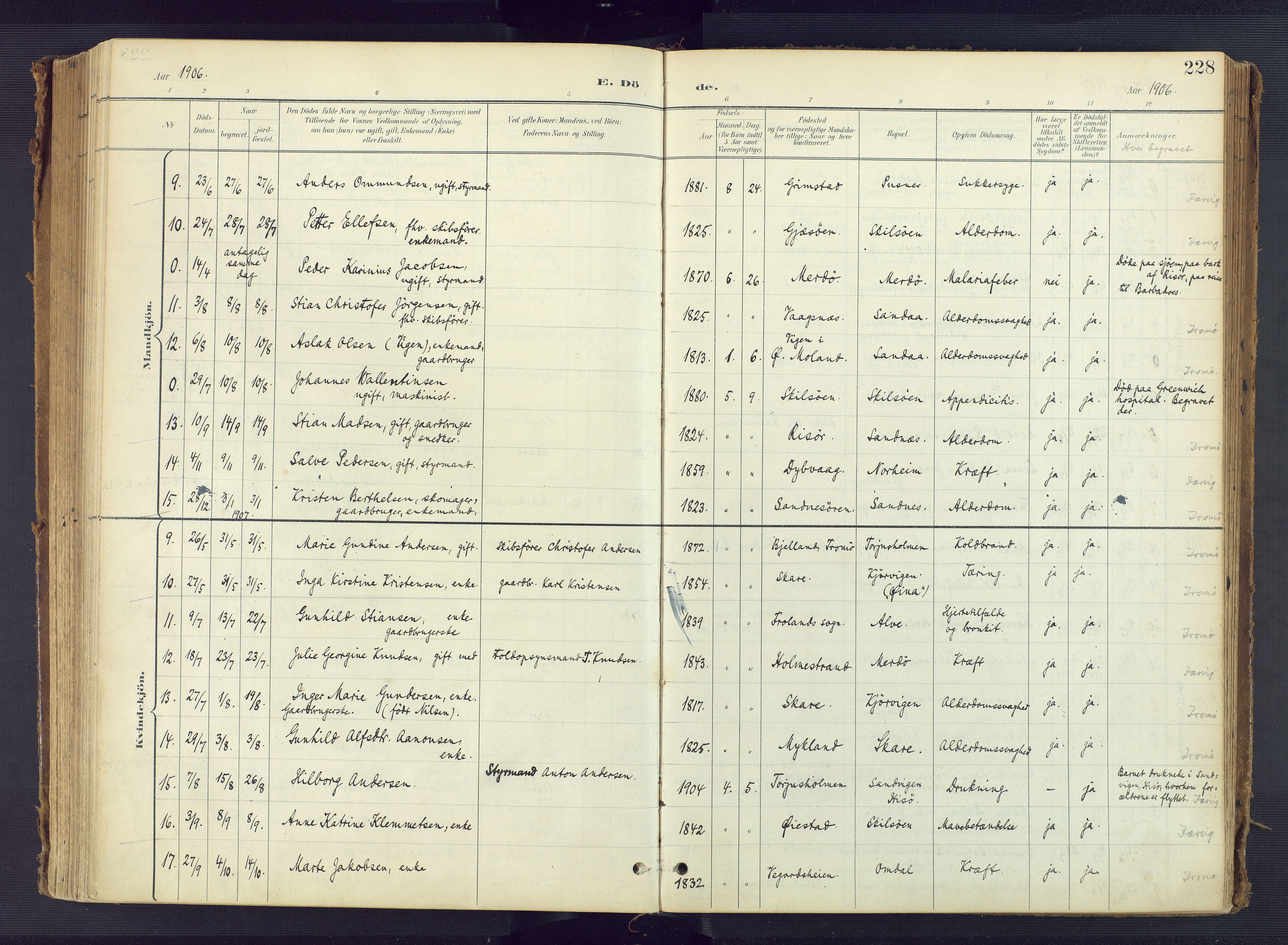 Tromøy sokneprestkontor, AV/SAK-1111-0041/F/Fa/L0010: Parish register (official) no. A 10, 1896-1912, p. 228