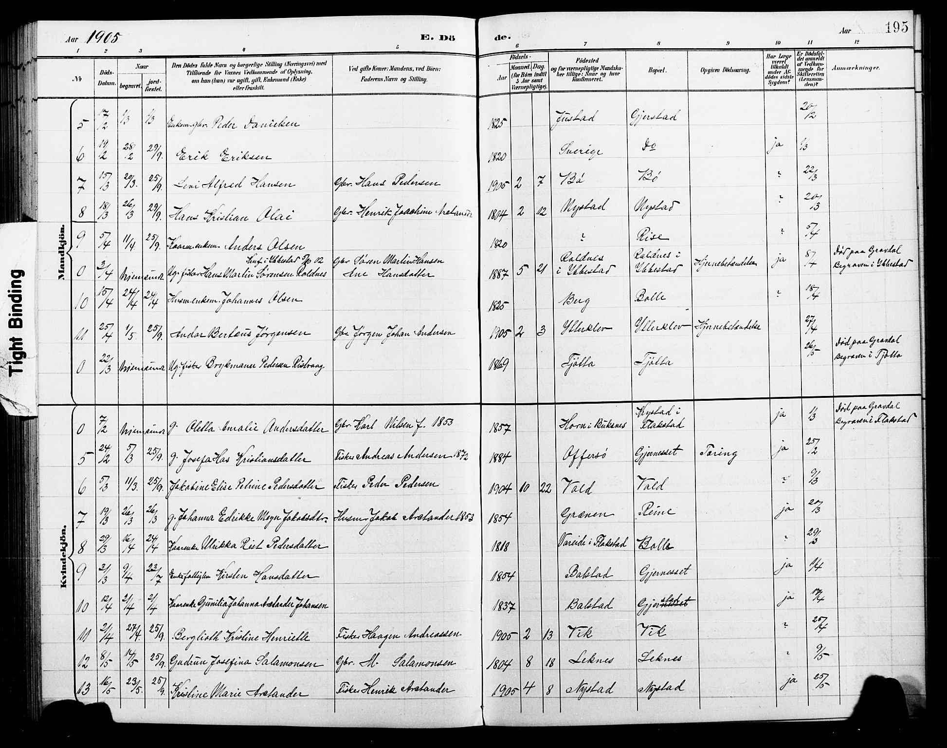 Ministerialprotokoller, klokkerbøker og fødselsregistre - Nordland, AV/SAT-A-1459/881/L1168: Parish register (copy) no. 881C05, 1900-1911, p. 195