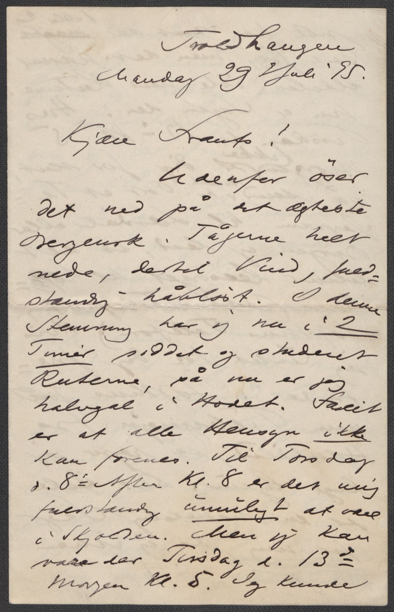 Beyer, Frants, AV/RA-PA-0132/F/L0001: Brev fra Edvard Grieg til Frantz Beyer og "En del optegnelser som kan tjene til kommentar til brevene" av Marie Beyer, 1872-1907, p. 446