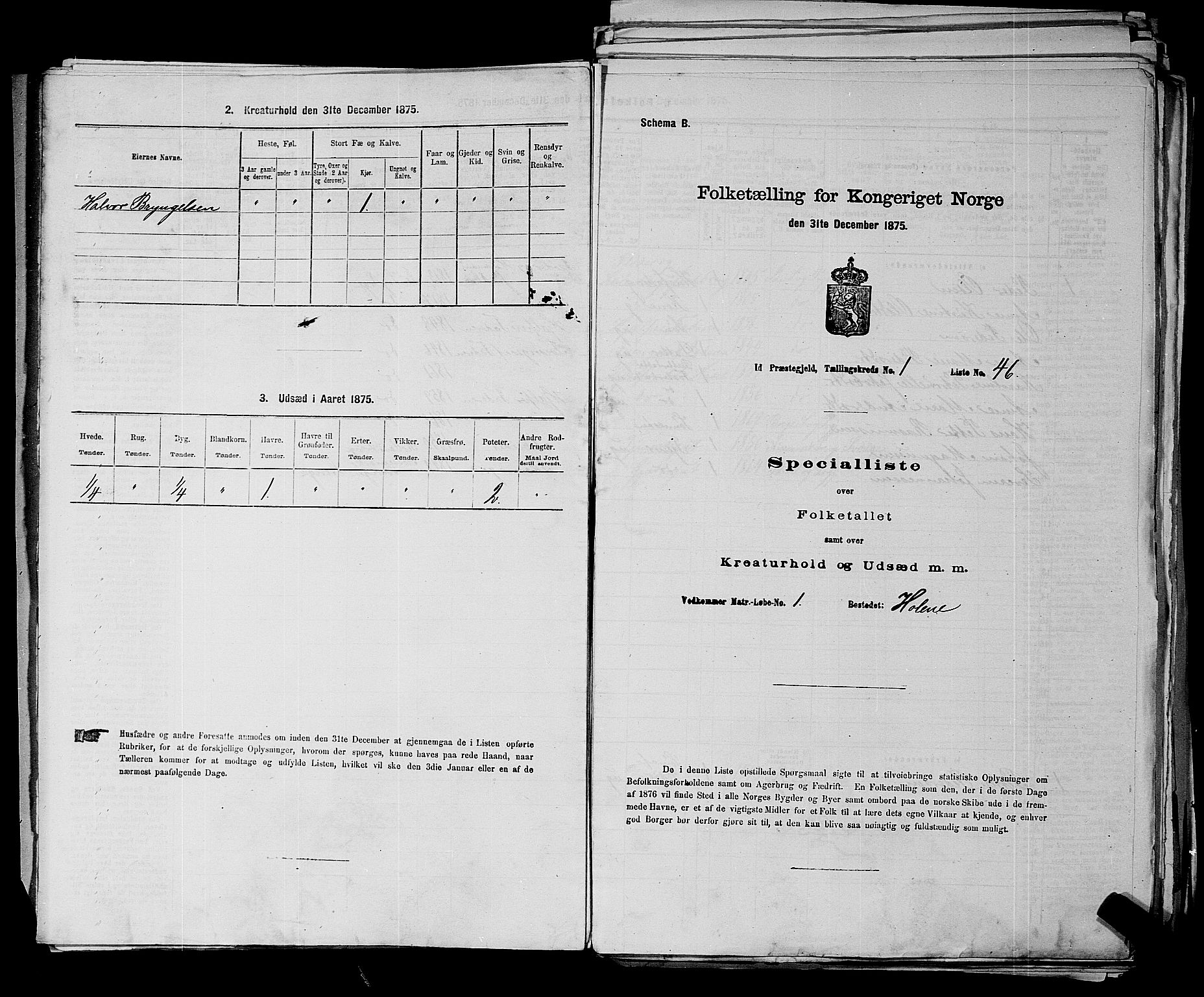 RA, 1875 census for 0117P Idd, 1875, p. 50