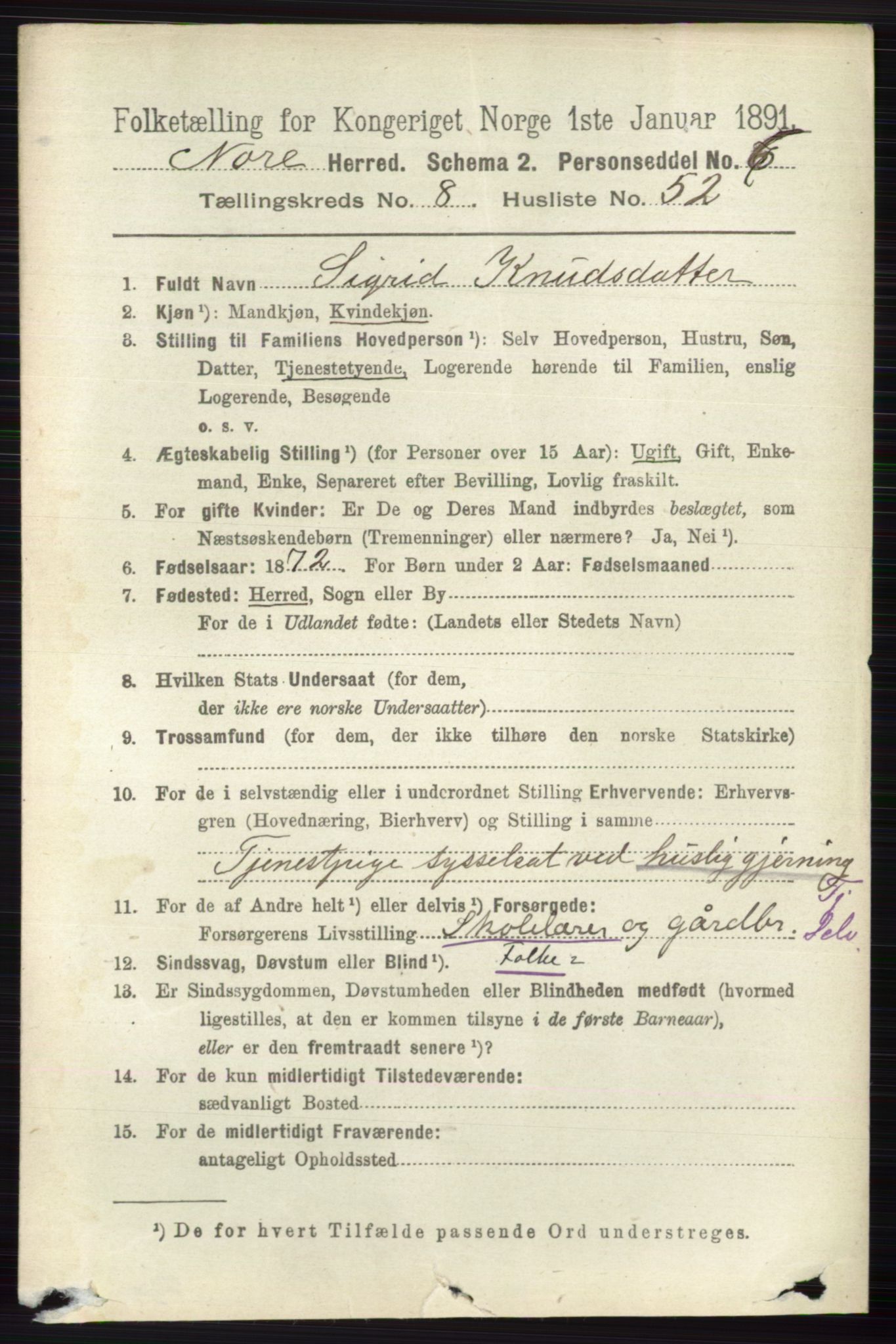 RA, 1891 census for 0633 Nore, 1891, p. 3150