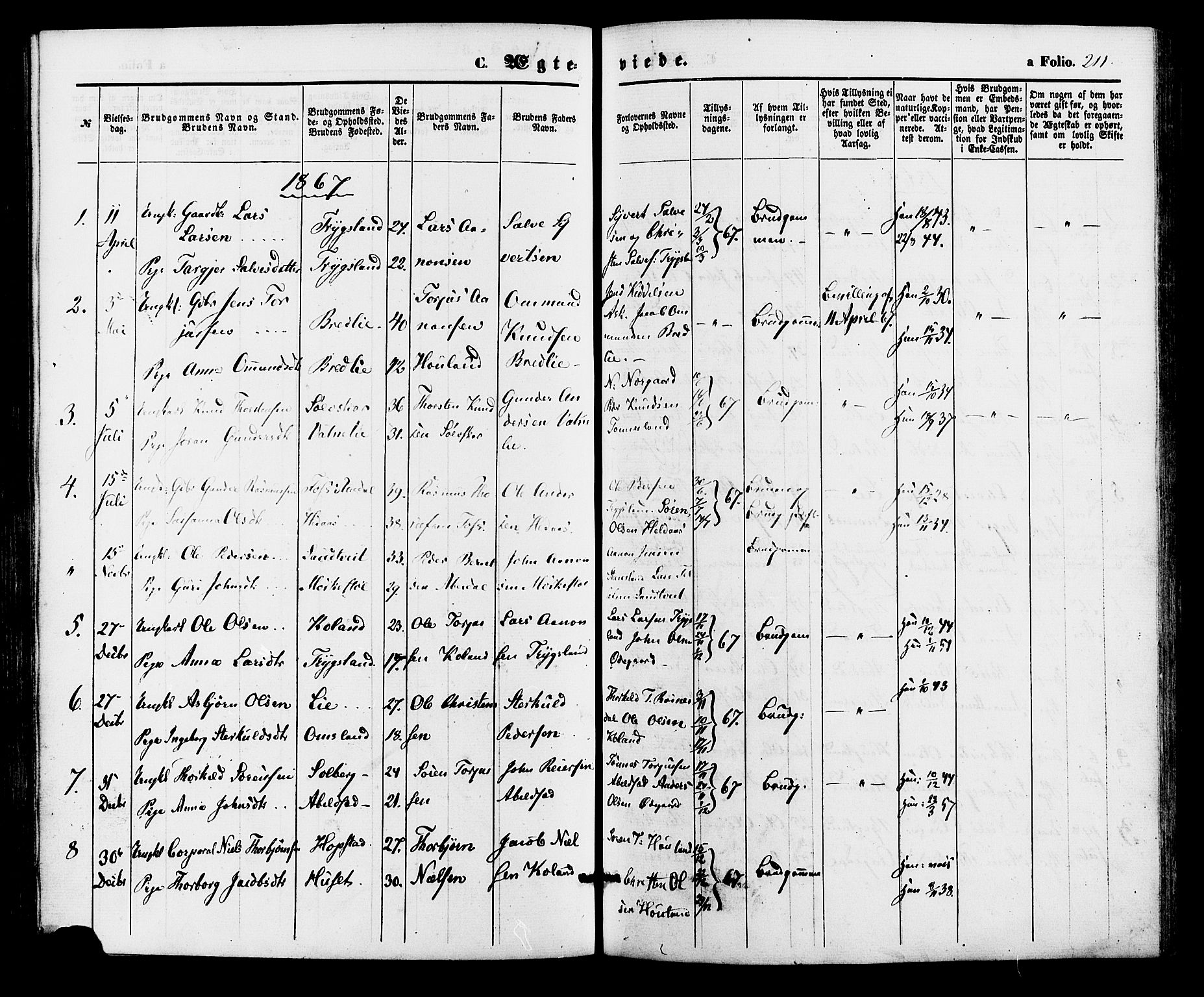 Bjelland sokneprestkontor, SAK/1111-0005/F/Fa/Faa/L0003: Parish register (official) no. A 3, 1867-1887, p. 211