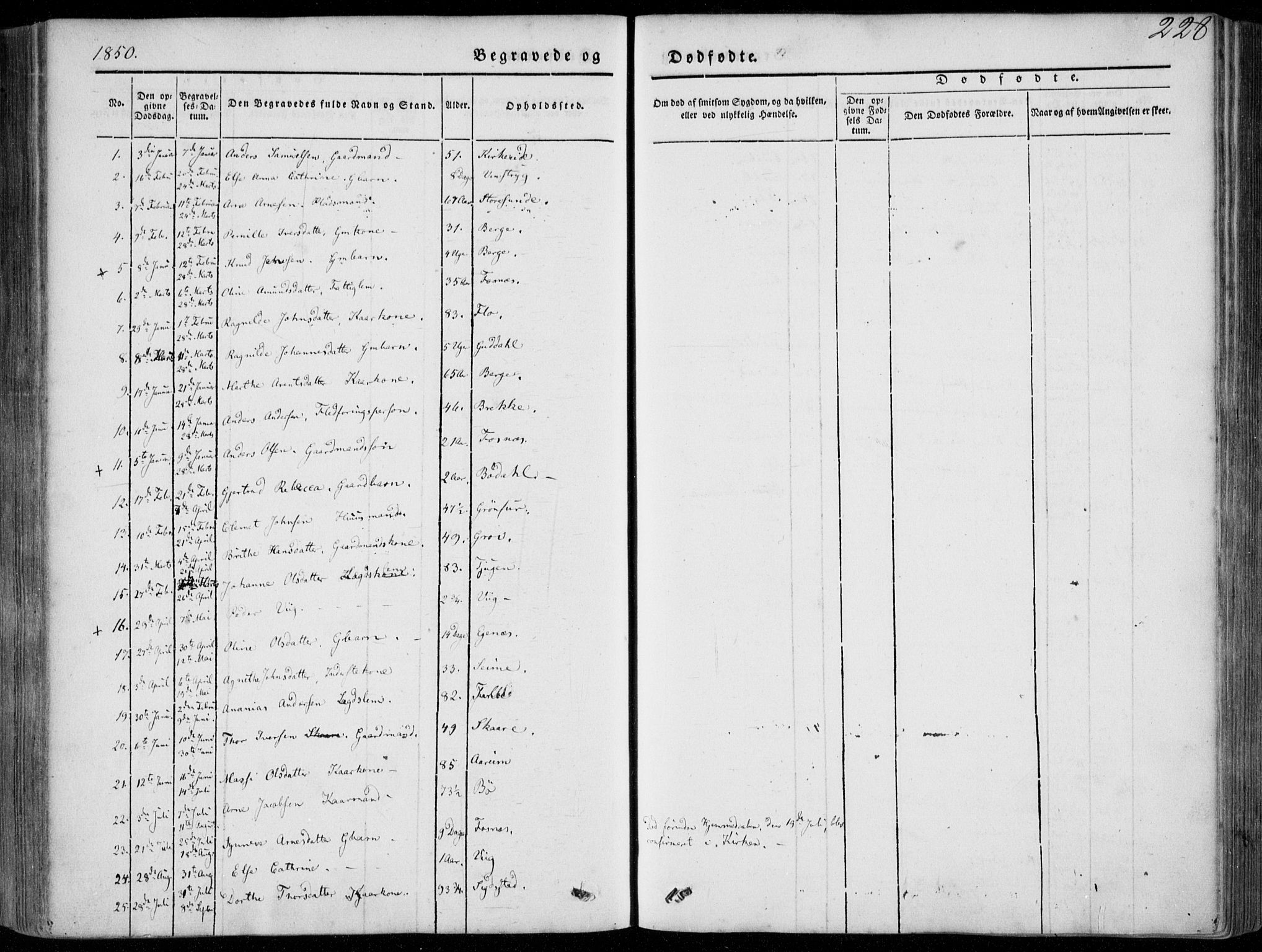 Stryn Sokneprestembete, SAB/A-82501: Parish register (official) no. A 2, 1844-1861, p. 228