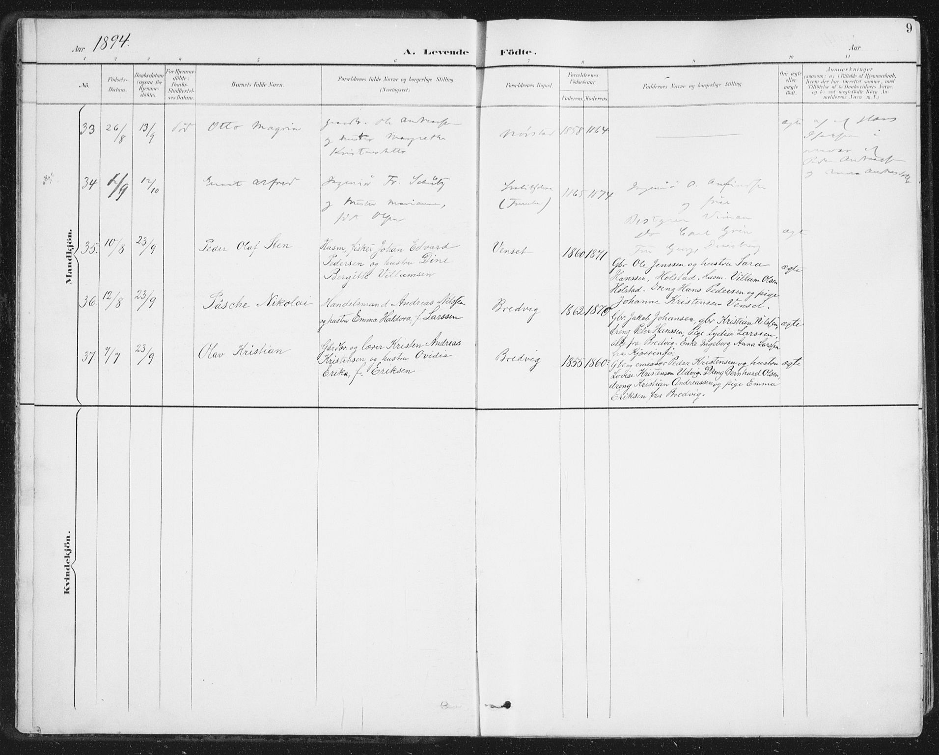 Ministerialprotokoller, klokkerbøker og fødselsregistre - Nordland, AV/SAT-A-1459/852/L0741: Parish register (official) no. 852A11, 1894-1917, p. 9