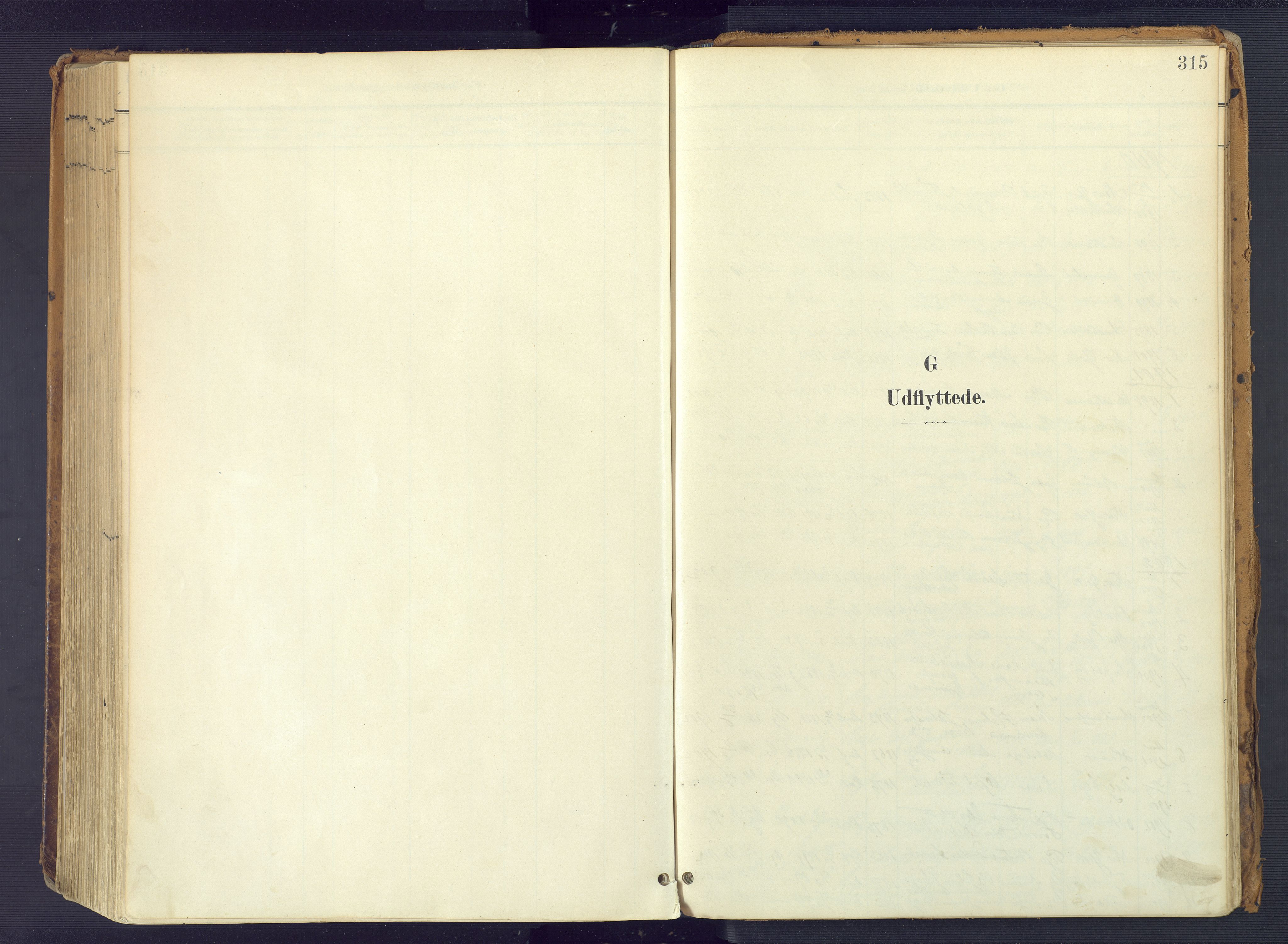 Vestre Moland sokneprestkontor, SAK/1111-0046/F/Fa/Fab/L0010: Parish register (official) no. A 10, 1900-1926, p. 315