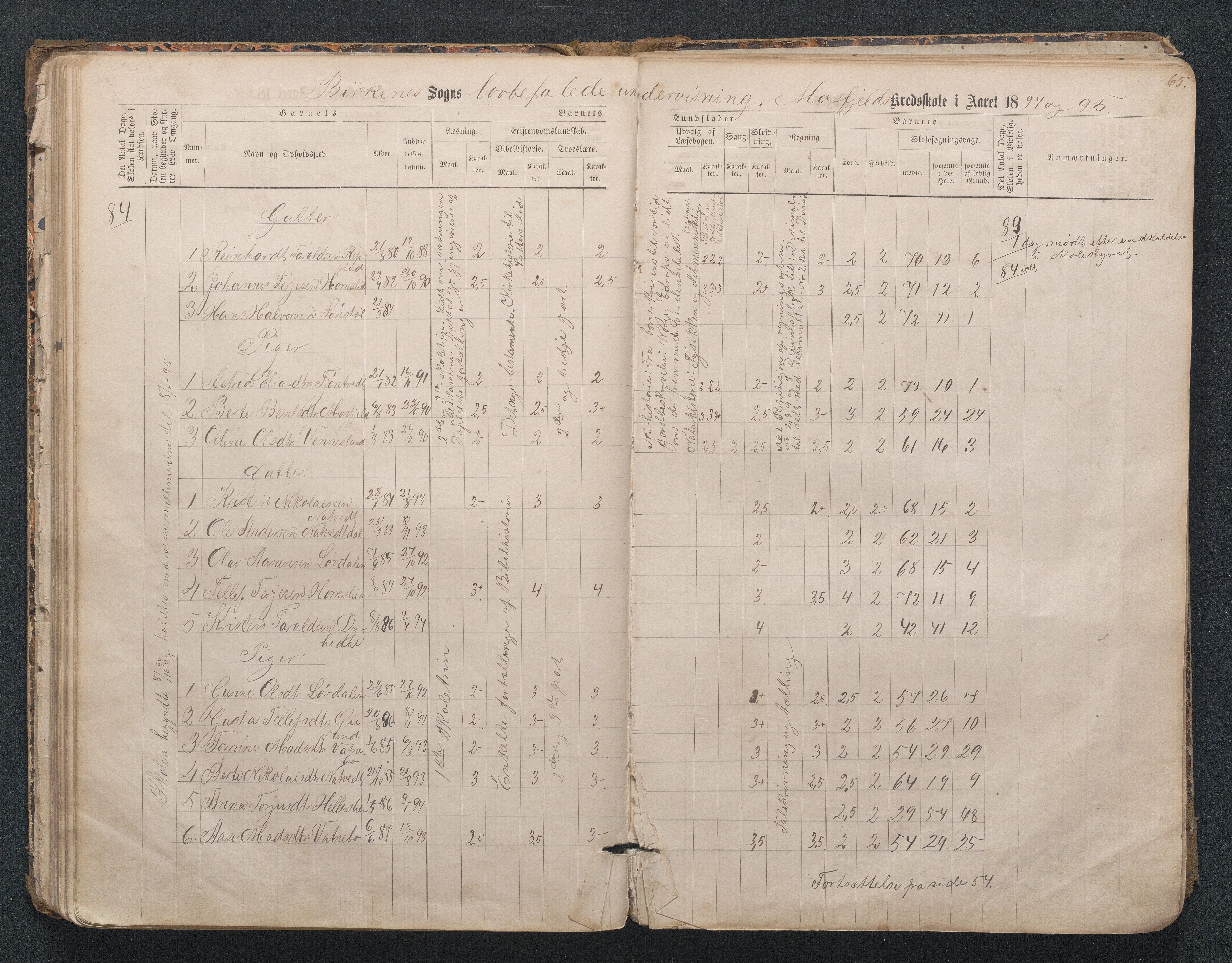 Birkenes kommune, Mosfjell skolekrets, AAKS/KA0928-550f_91/F02/L0001: Skoleprotokoll Flå og Mosfjell, 1867-1909, p. 65