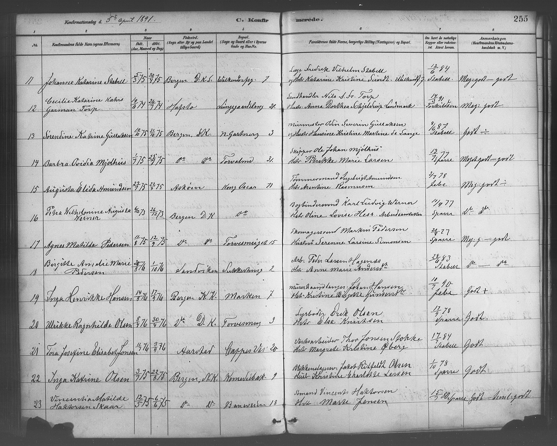 Domkirken sokneprestembete, AV/SAB-A-74801/H/Haa/L0030: Parish register (official) no. C 5, 1880-1898, p. 255