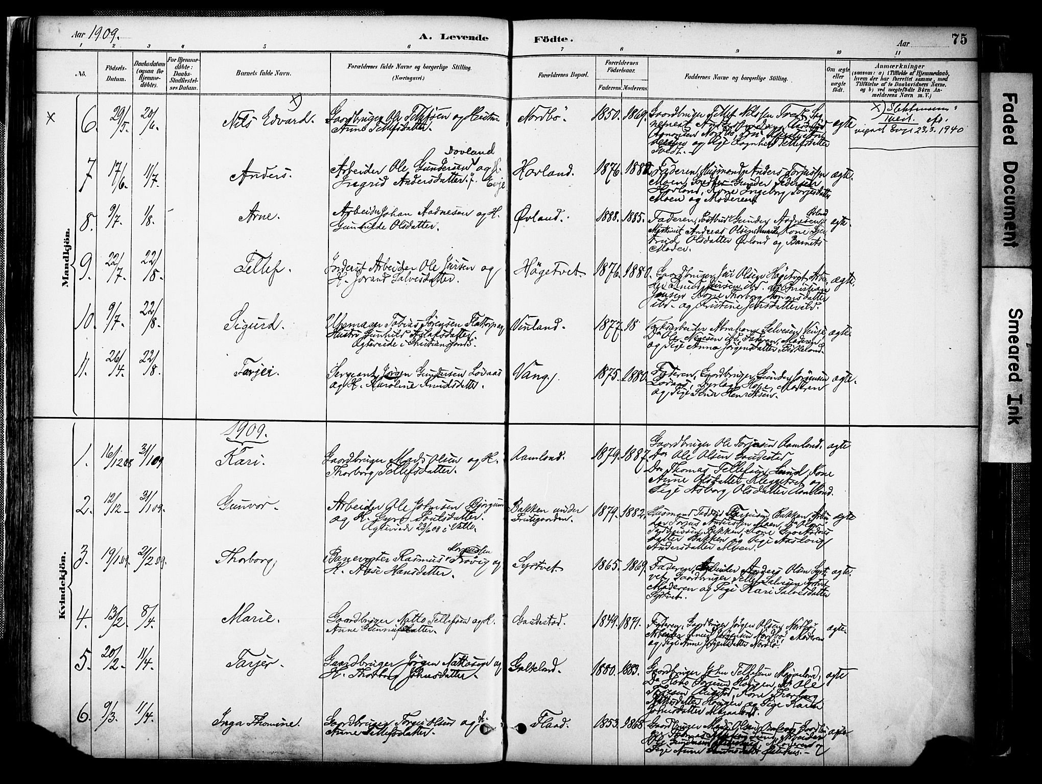 Evje sokneprestkontor, AV/SAK-1111-0008/F/Fa/Faa/L0007: Parish register (official) no. A 7, 1884-1909, p. 75