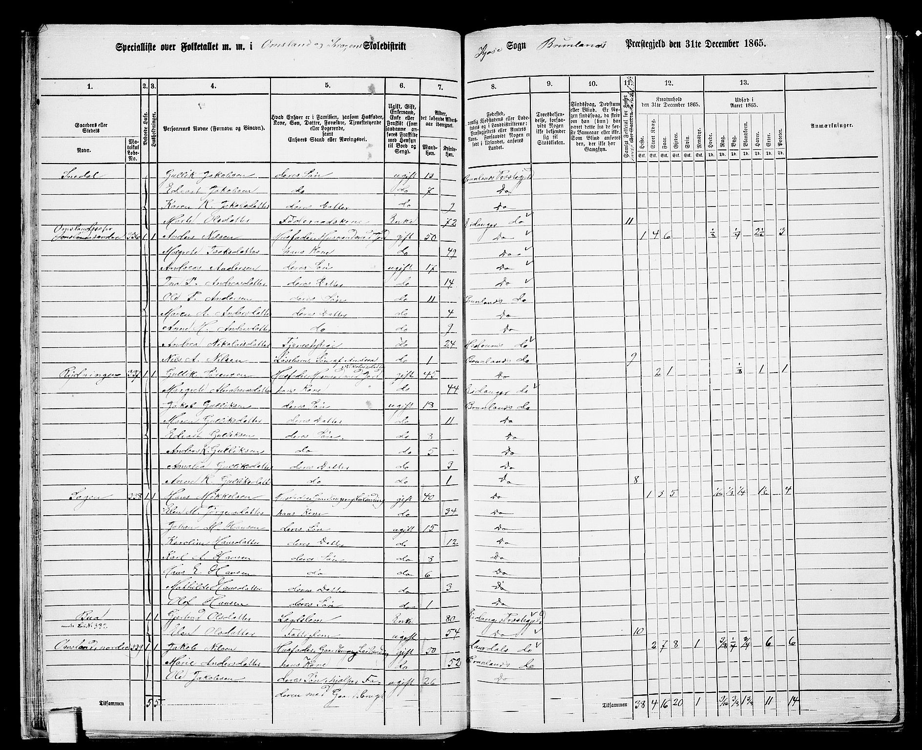 RA, 1865 census for Brunlanes, 1865, p. 26