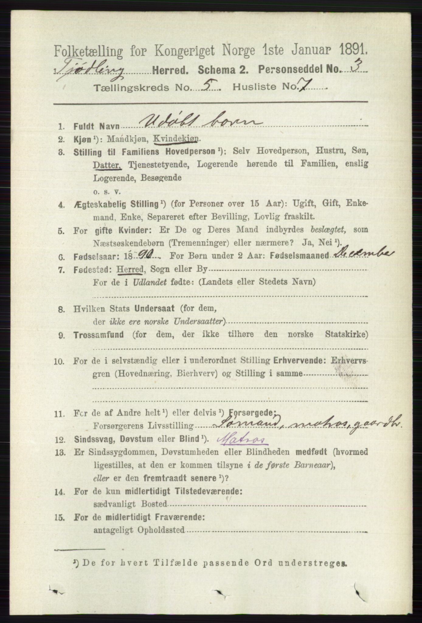 RA, 1891 census for 0725 Tjølling, 1891, p. 2019