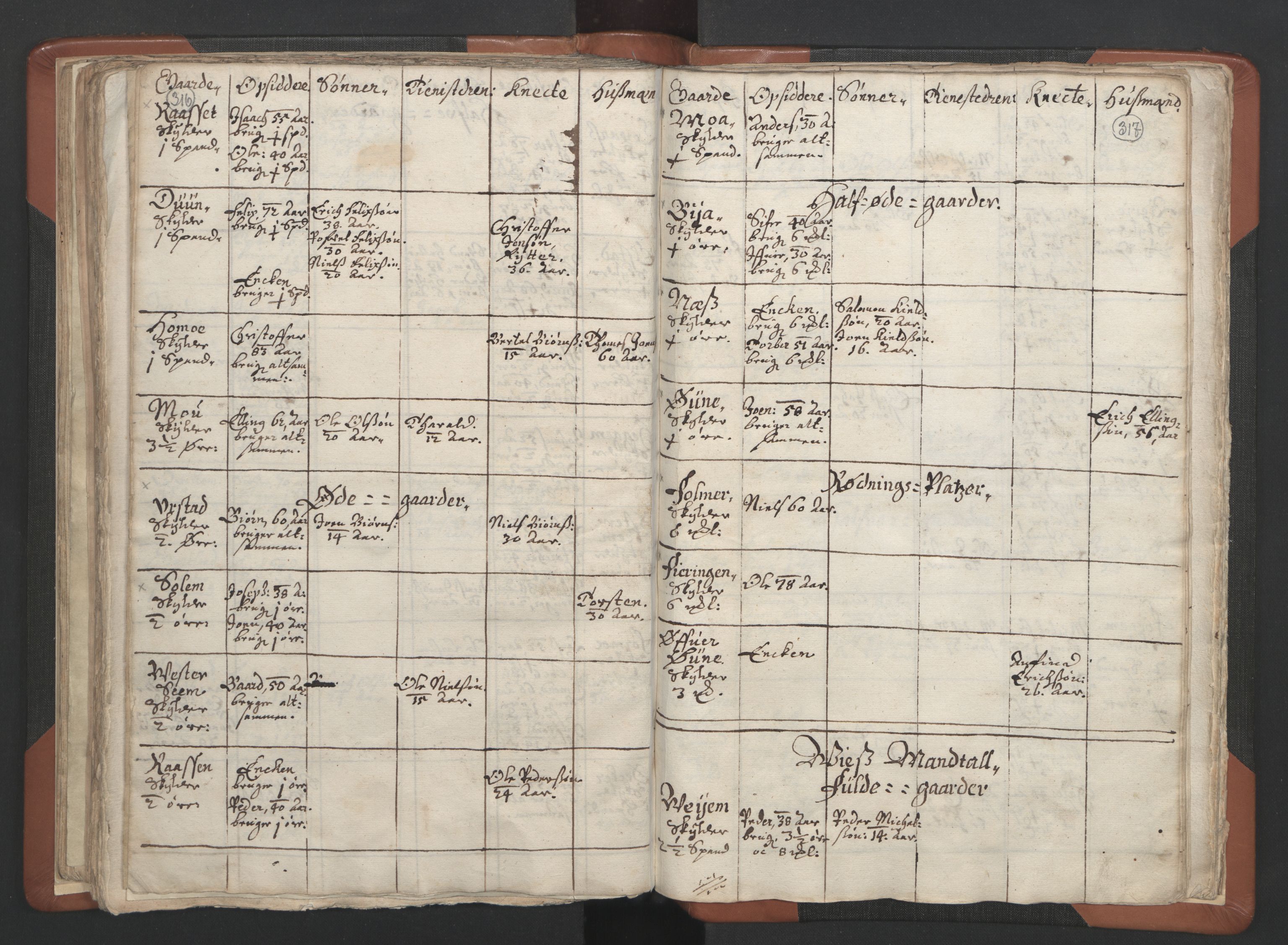 RA, Vicar's Census 1664-1666, no. 34: Namdal deanery, 1664-1666, p. 316-317