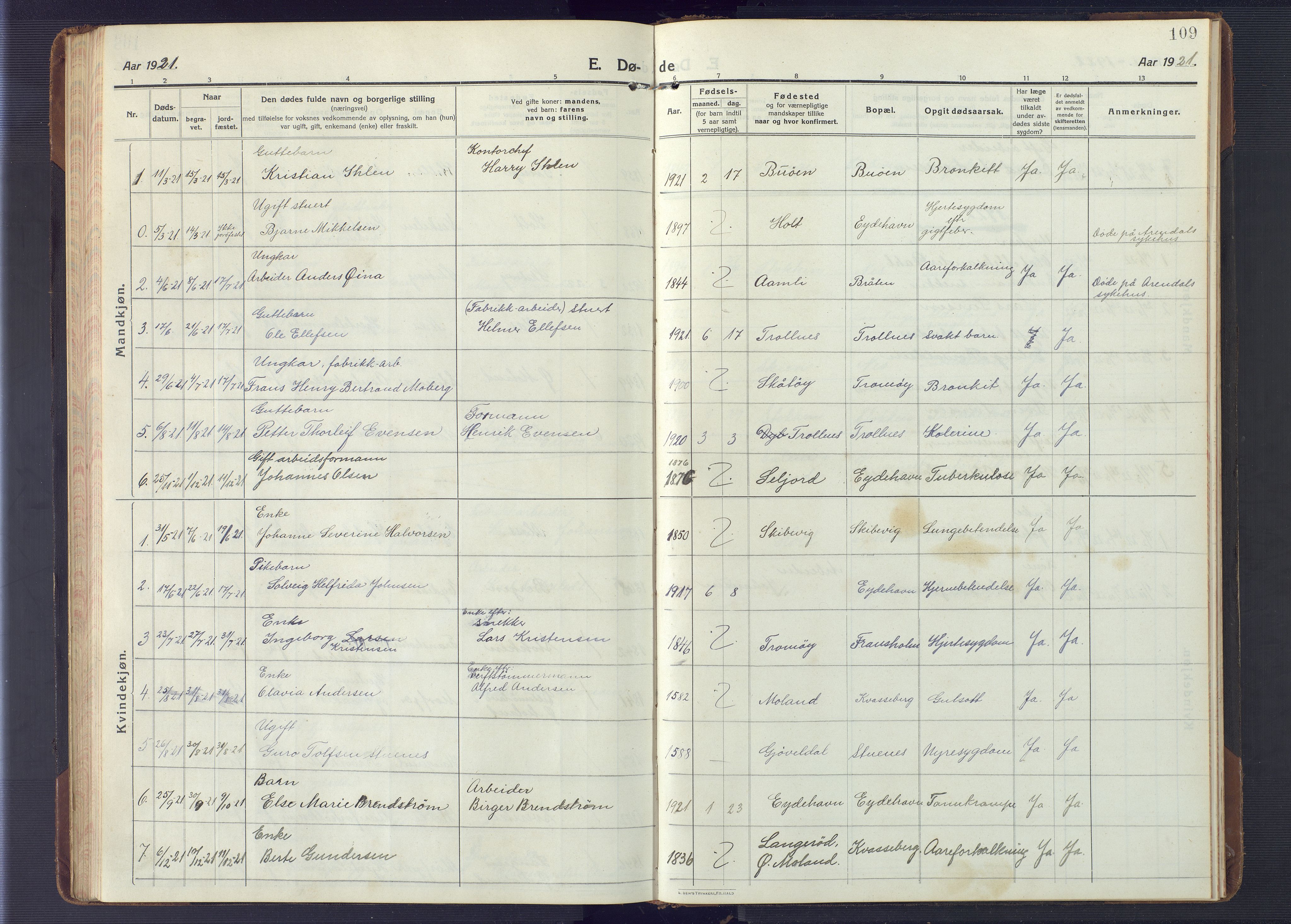 Austre Moland sokneprestkontor, AV/SAK-1111-0001/F/Fb/Fbb/L0004: Parish register (copy) no. B 4, 1914-1929, p. 109