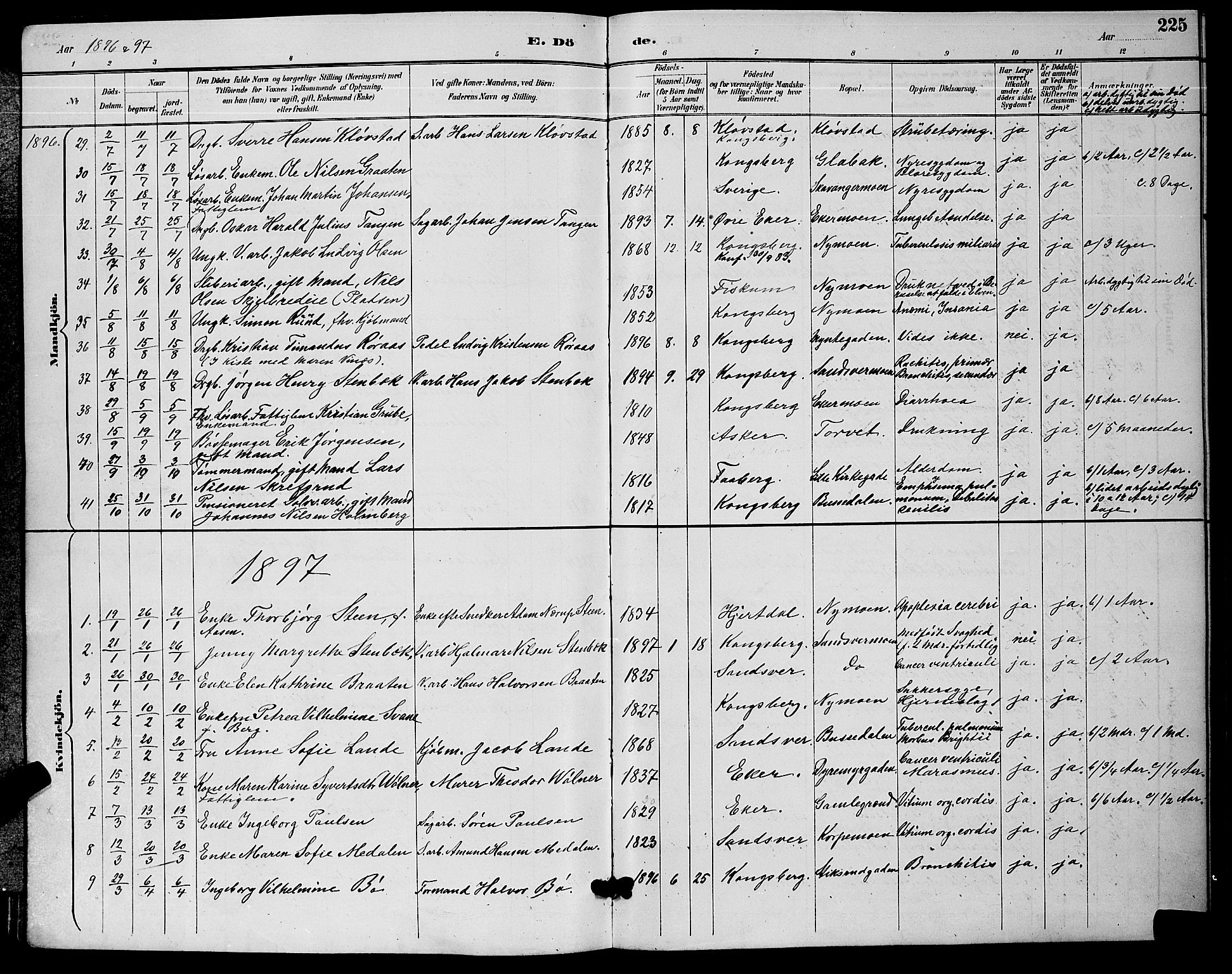 Kongsberg kirkebøker, AV/SAKO-A-22/G/Ga/L0006: Parish register (copy) no. 6, 1890-1901, p. 225